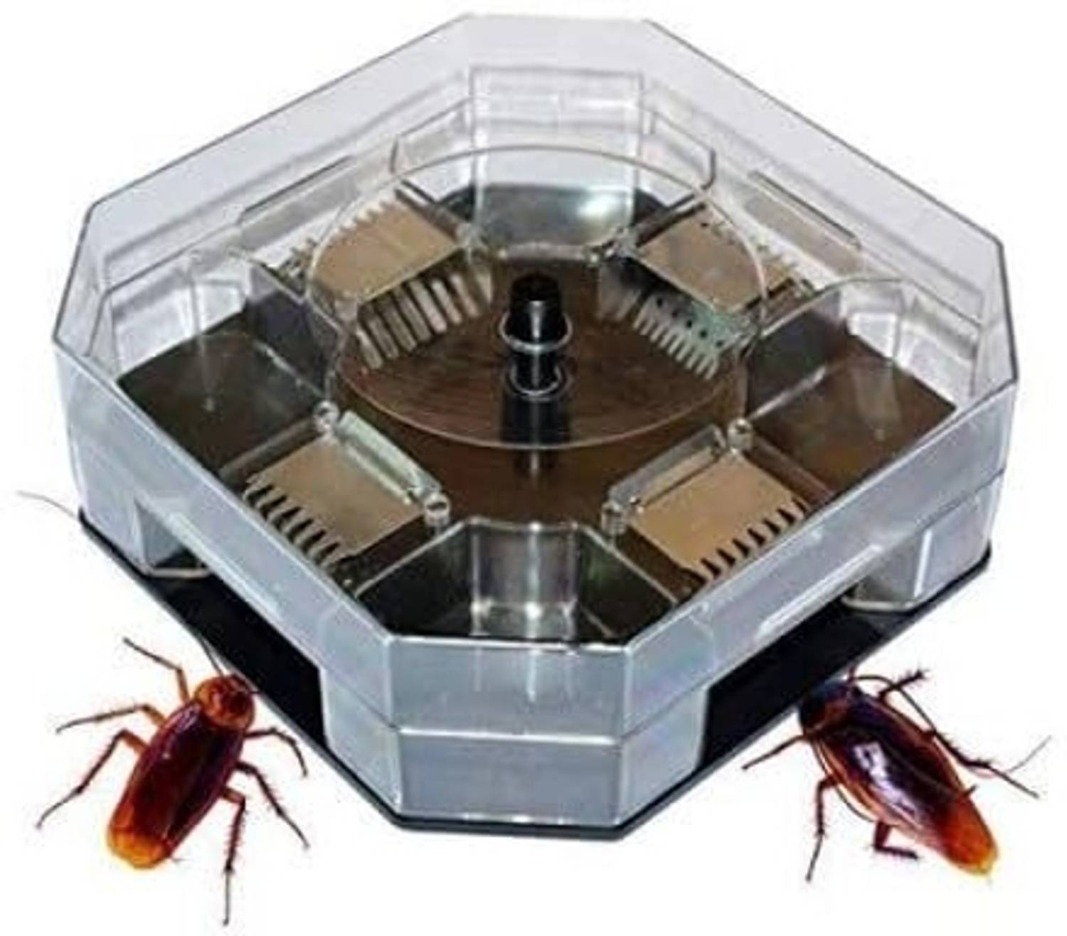 AditiMoksha Cockroach Traps Box Cockroach Bug Roach Catcher Cockroach Killer Bait Traps Snap Trap