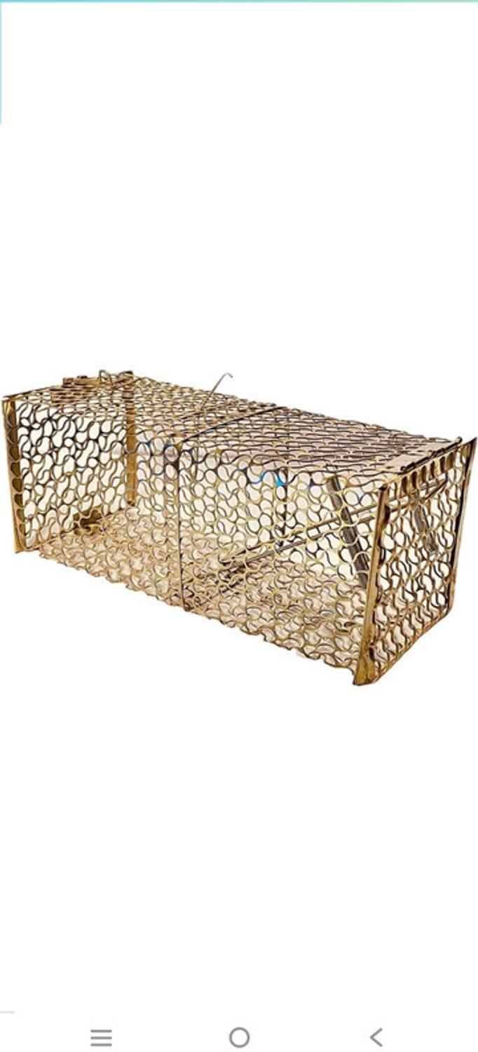 BHOLA ENGINEERING Rat Trap Square 005 Live Trap