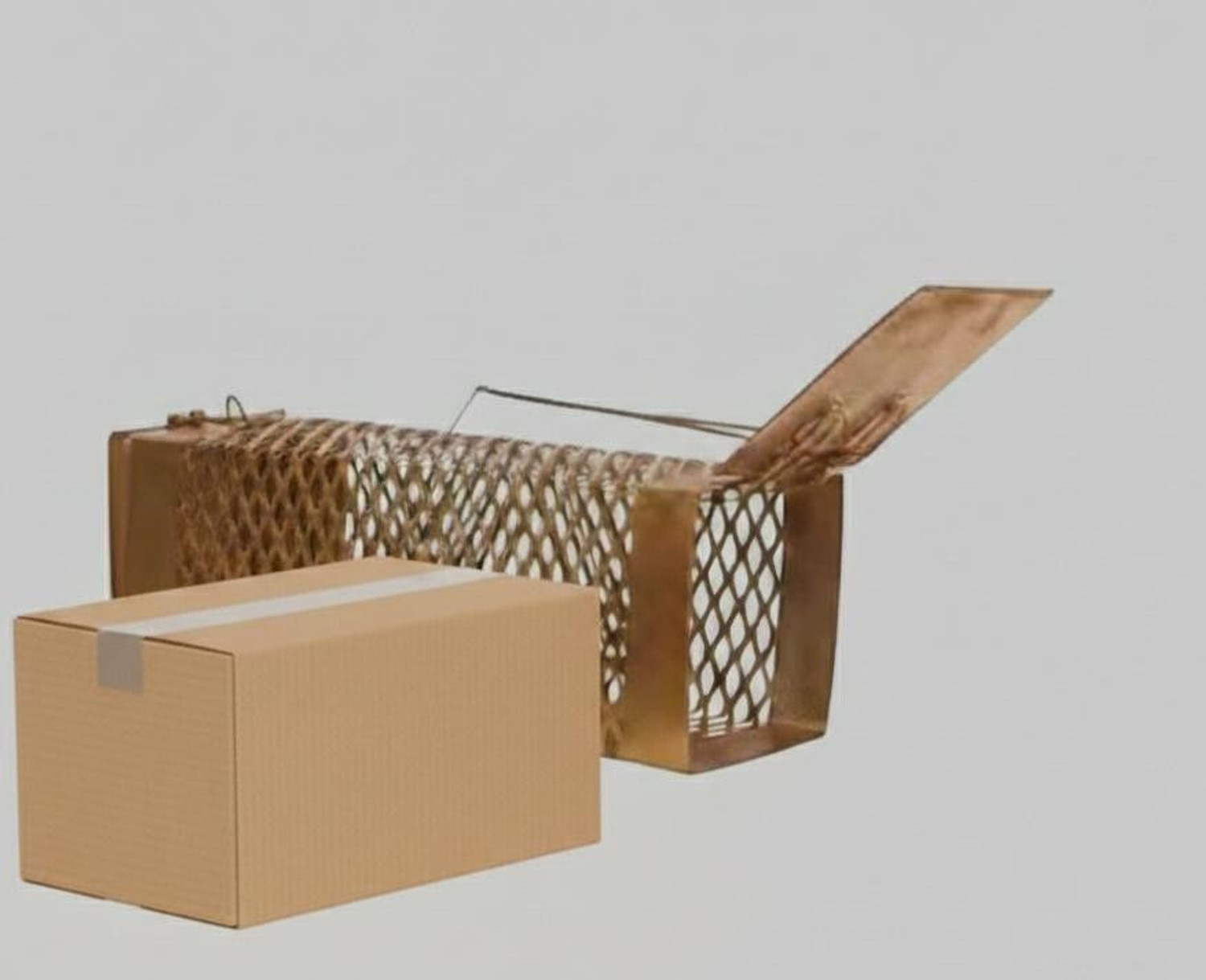 Image of ROPESTORE HJDKS-9IO4KKE Live Trap