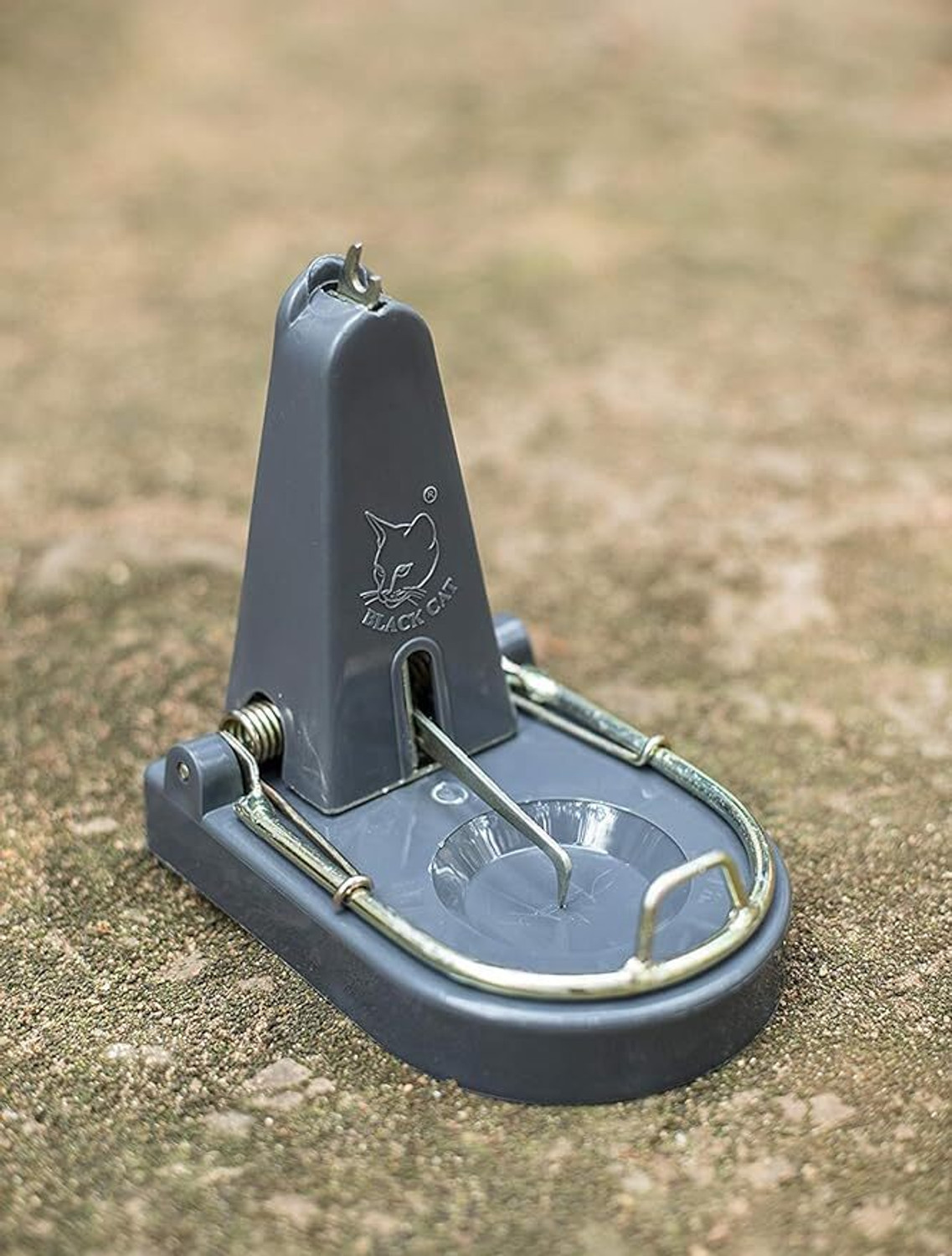 Image of Black Cat Standard Rat Trap:Mouse Catch Pack Of 2 Live Trap