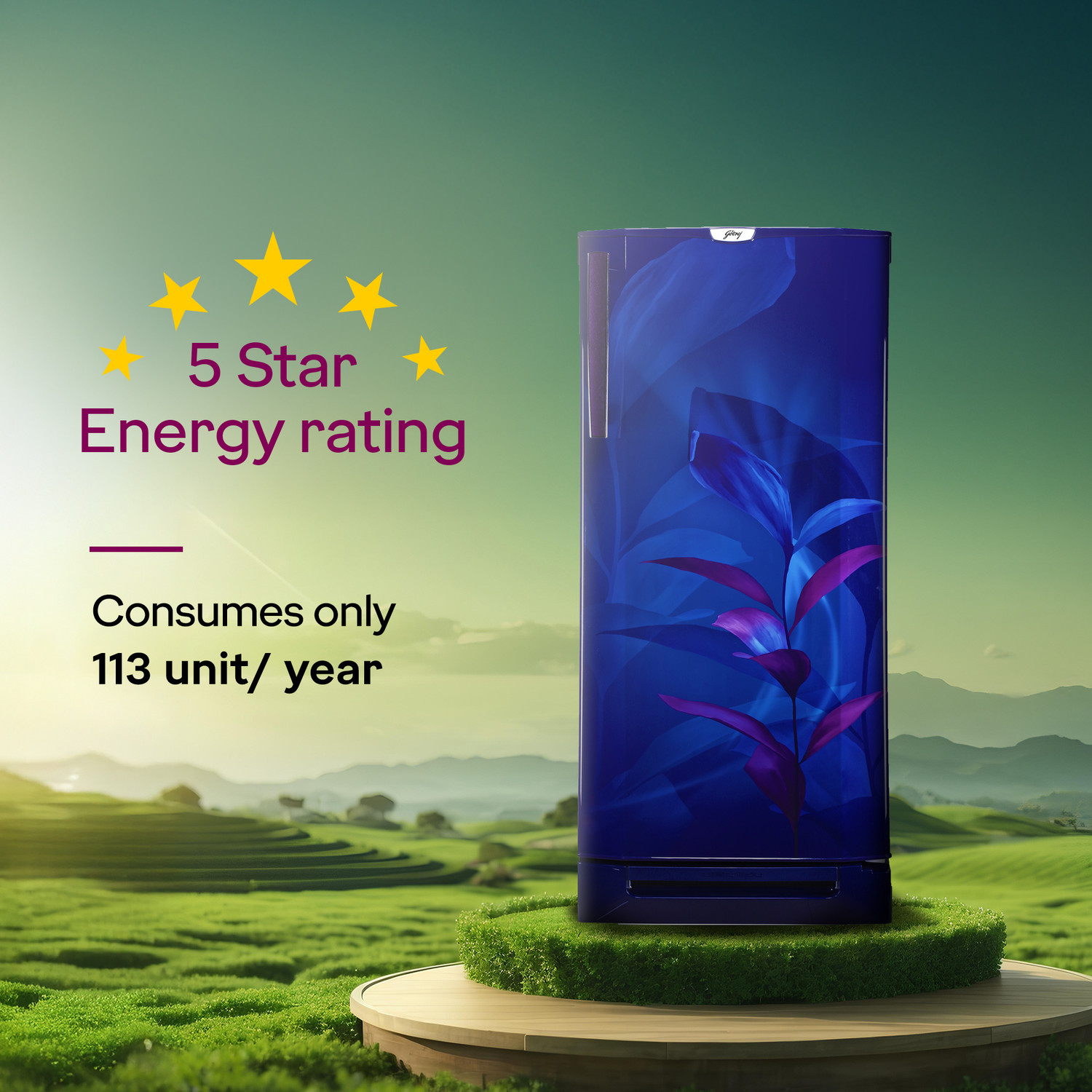 Image of Godrej 185 L Direct Cool Single Door 5 Star Refrigerator with Base Drawer 22L Jumbo Vegetable Tray Advanced Inverter Technology