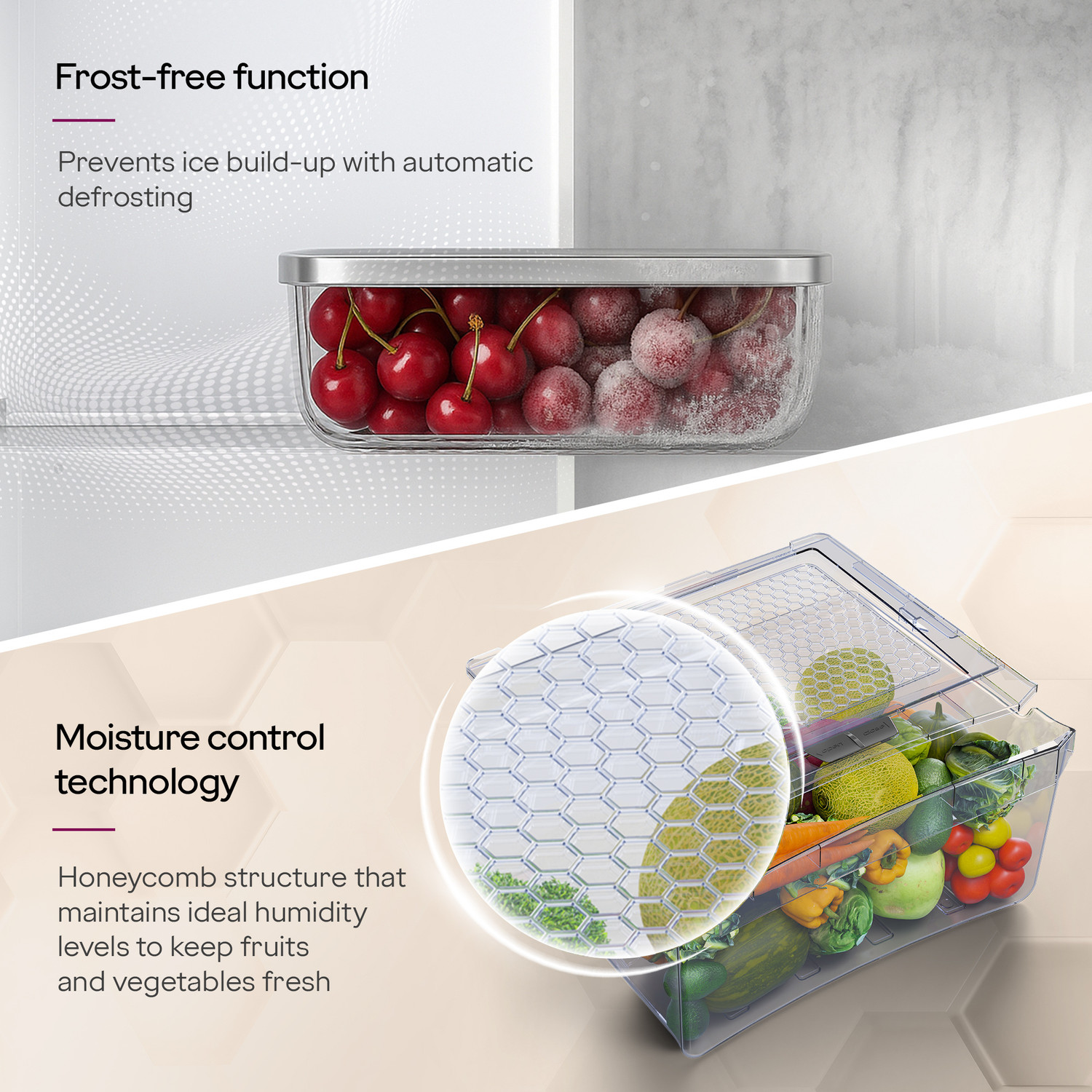 Image of Godrej 238 L Frost Free Double Door 3 Star Refrigerator with Advanced Inverter and 95%+ Food Surface Disinfection