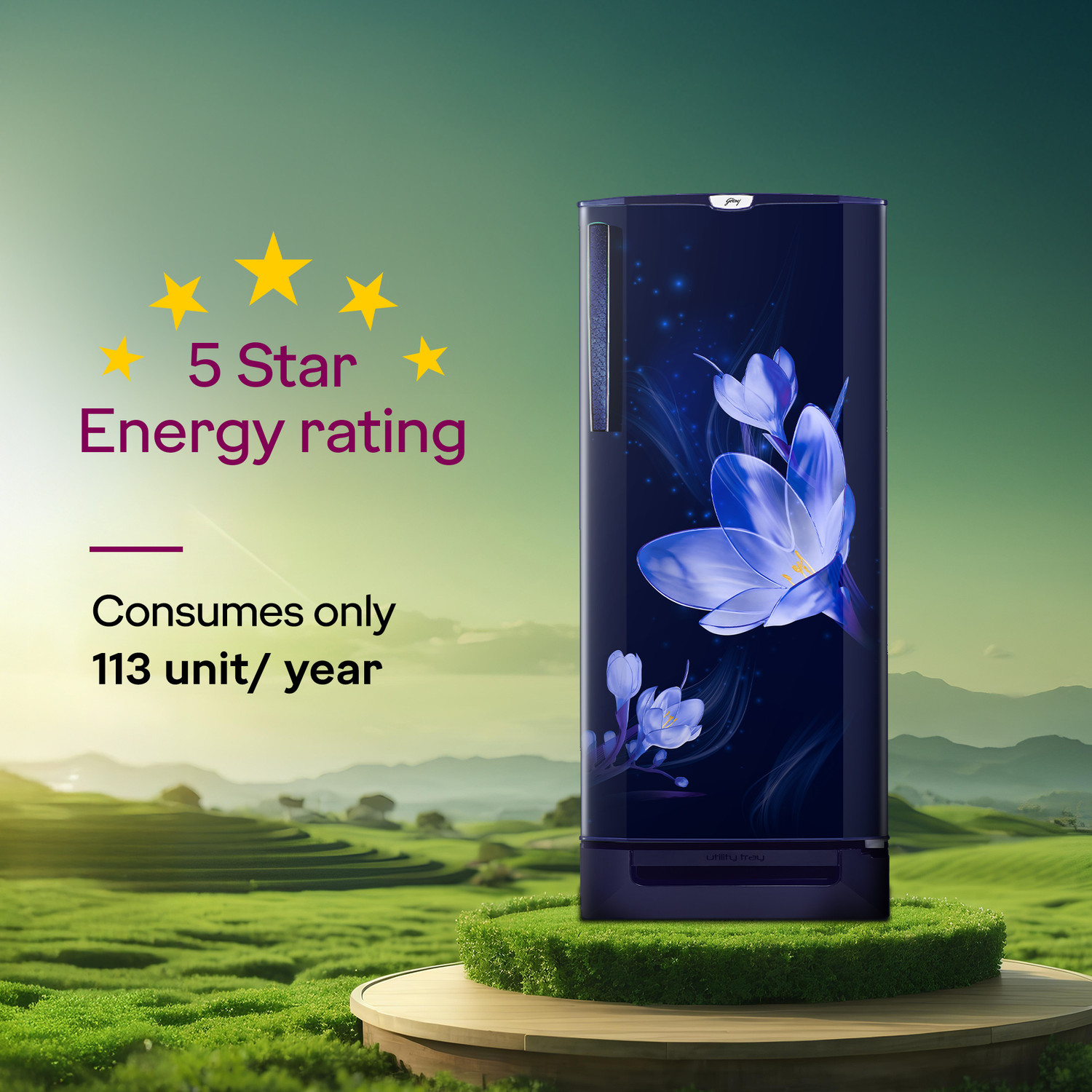 Image of Godrej 185 L Direct Cool Single Door 5 Star Refrigerator with Base Drawer2L Jumbo Vegetable Tray Advanced Inverter Technology