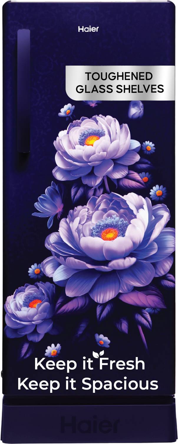 Haier हायर 190 L फ्रिज बेस दराज के साथ - Image 1