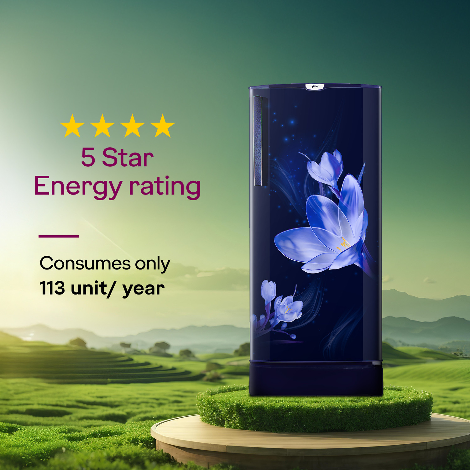 Image of Godrej 185 L Direct Cool Single Door 5 Star Refrigerator with 22L Jumbo Vegetable Tray Advanced Inverter Technology 2.5L Bottle Space