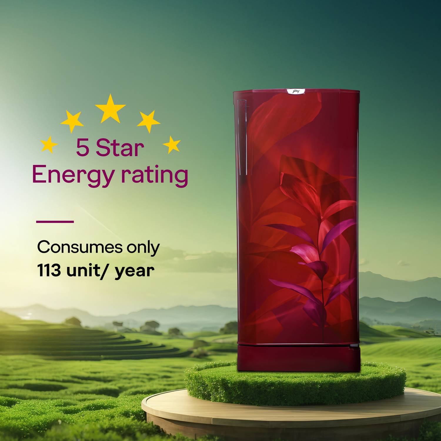 Godrej 185L Direct Cool Single Door 5 Star Refrigerator - Image 2