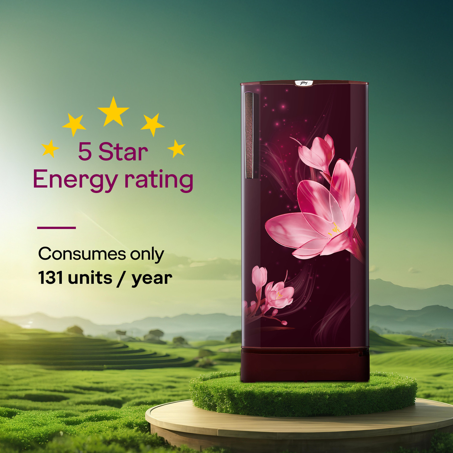 Image of Godrej 185 L Direct Cool Single Door 5 Star Refrigerator with Turbo Cooling Technology With Toughened Glass Shelves