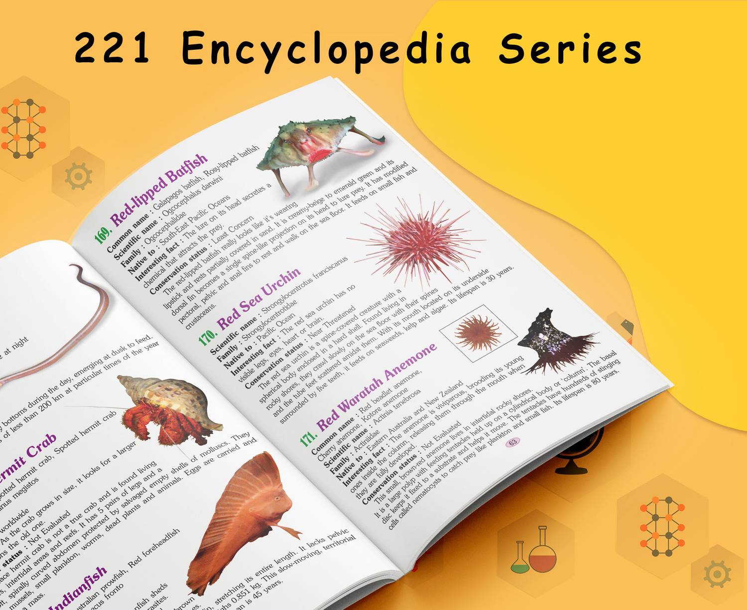 Children Encyclopedia - Amazing Bugs And Insects Encyclopedia