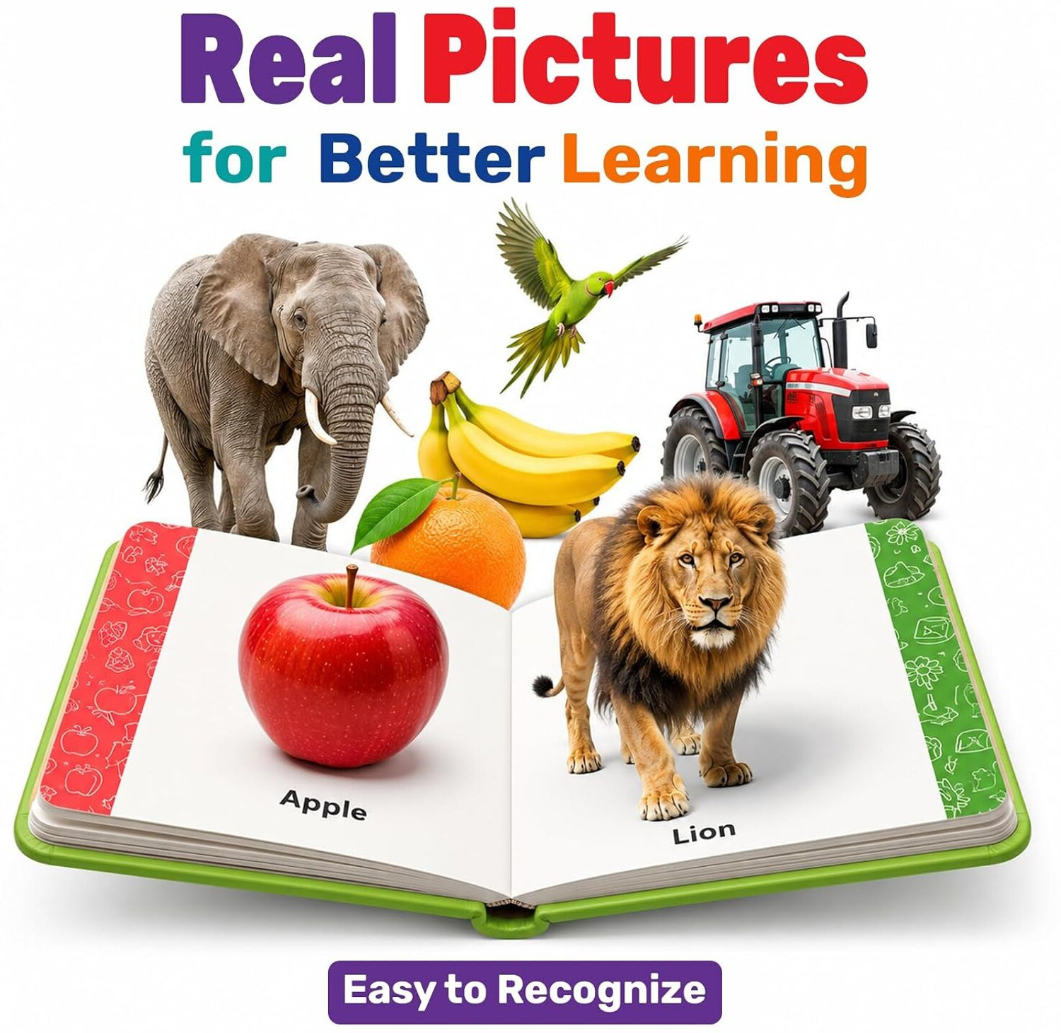 Image of Sandrone Educational Board Book Set Waterproof - Numbers Fruits Animals Birds