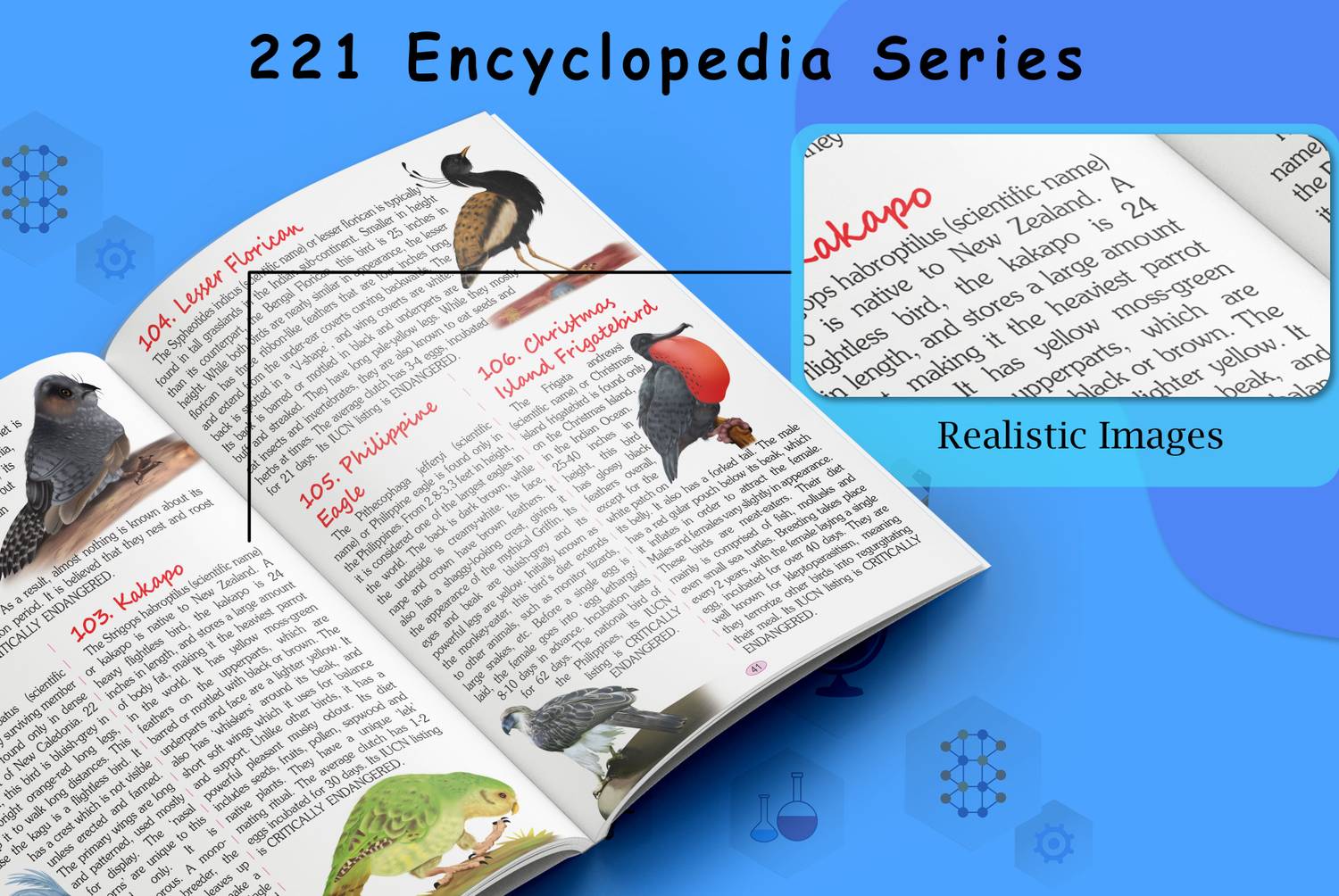 221 Exotic Birds Encyclopaedia Book For Kids : Educational Books