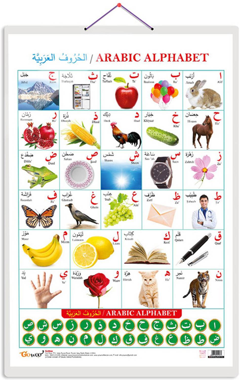 Arabic Alphabet (Arabic) Chart, Wall Poster For Room Decor High Quality Paper Print With Hard Lamination (20 Inch X 30 Inch, Rolled)