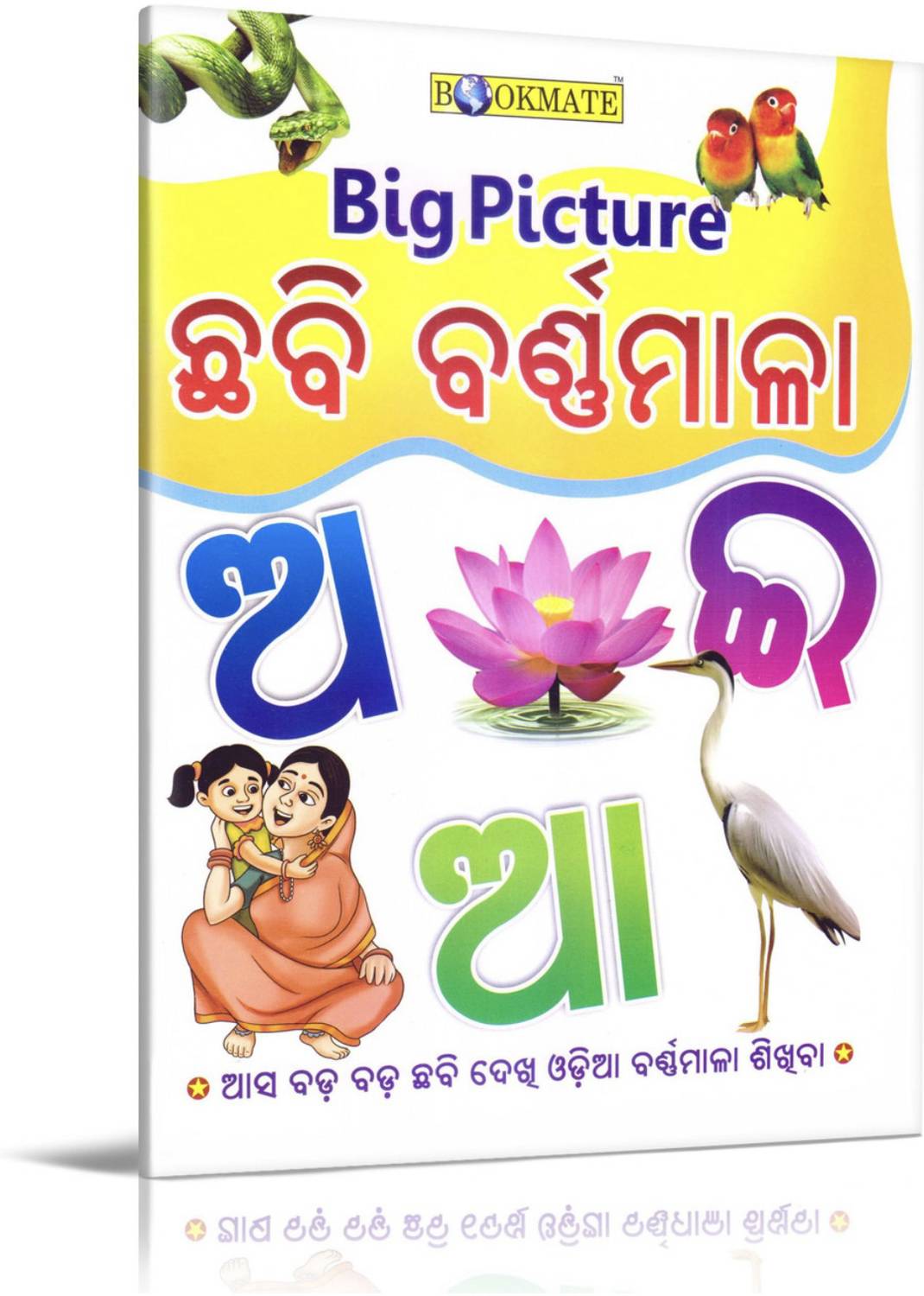 Big Picture Chabi Barnamala