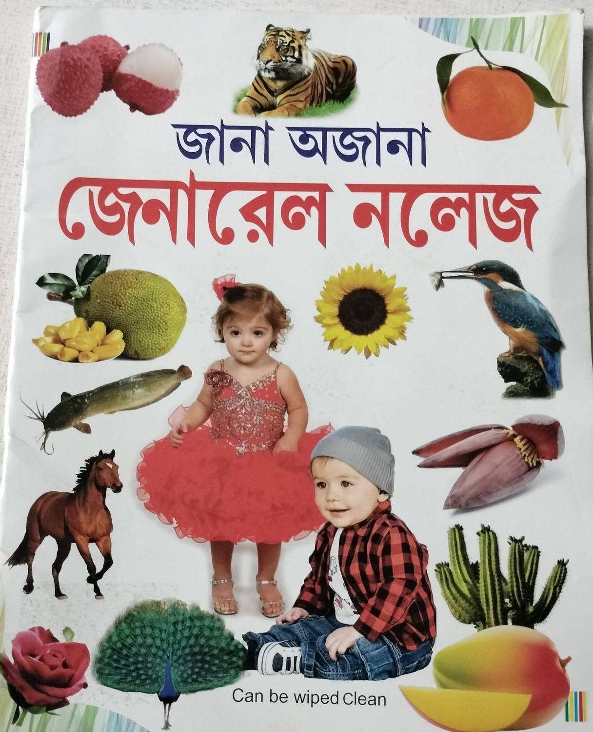Bengali General Knowledge Book For -Kid