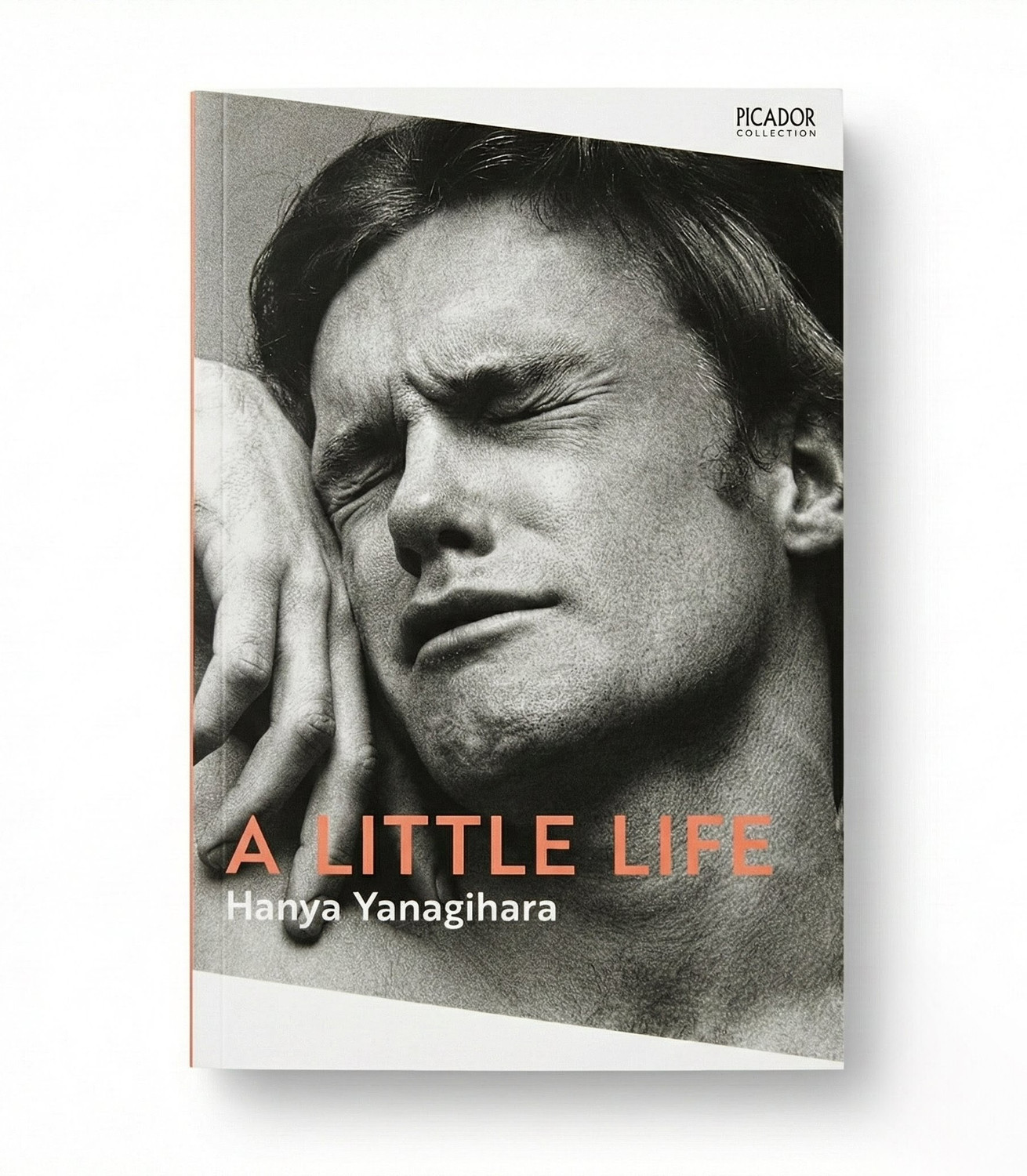 Image of A Little Life