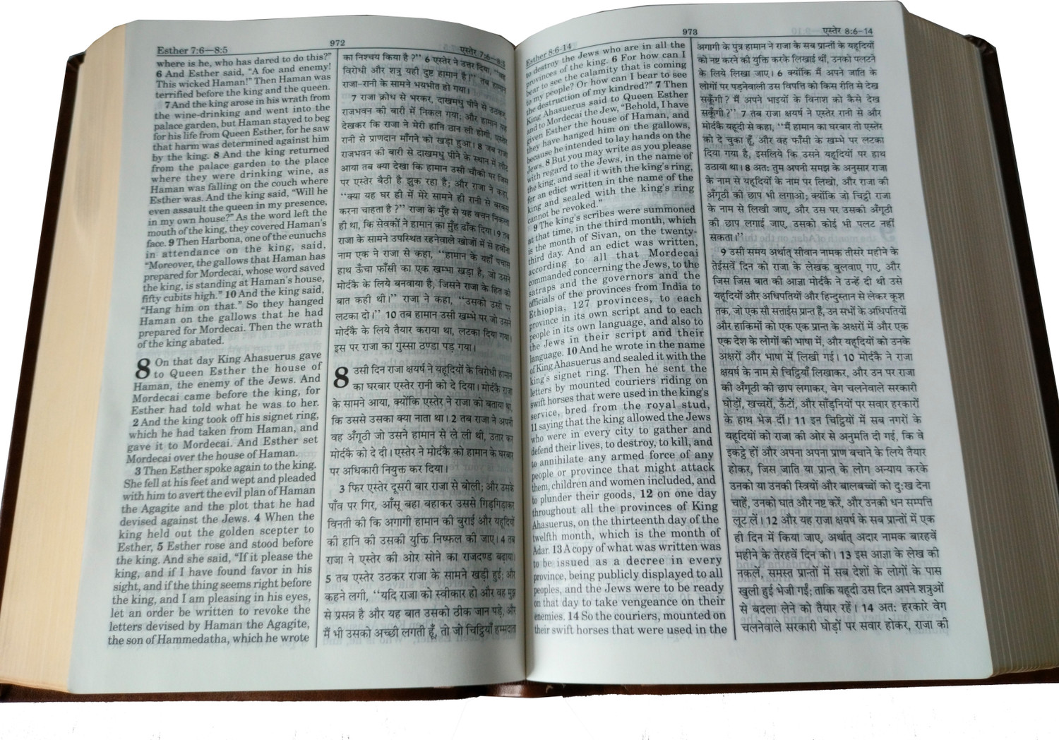 Image of English (ESV) - Hindi (O.V.) Diglot Bible Regular (Brown) PU (NAP) Yapp Containing Old And New Testament (Updated Size) BSI