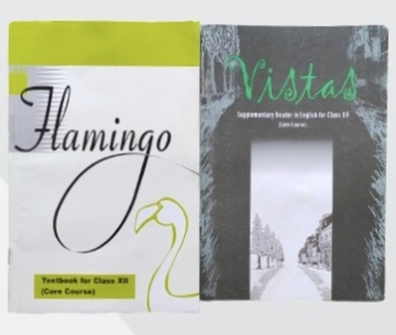 ncert-flamingo-and-vistas-