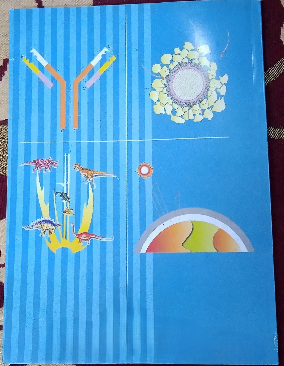 Image of NCERT Class 12th Biology 2026 Edition