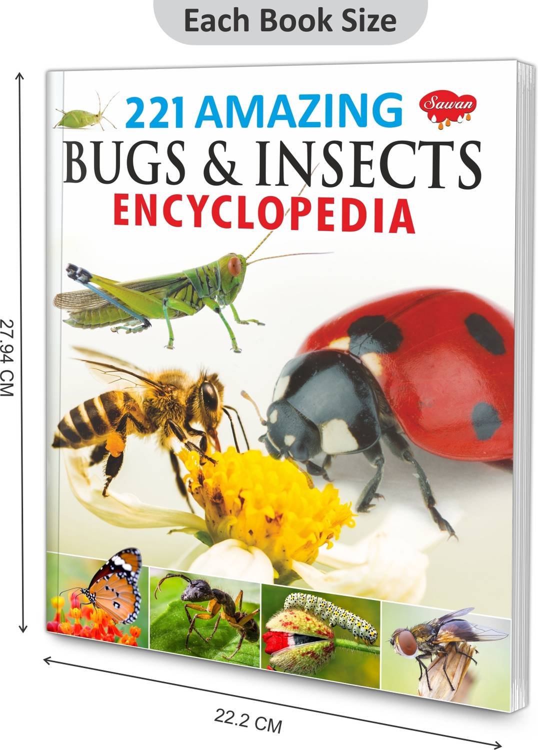 Children Encyclopedia - Amazing Bugs And Insects Encyclopedia