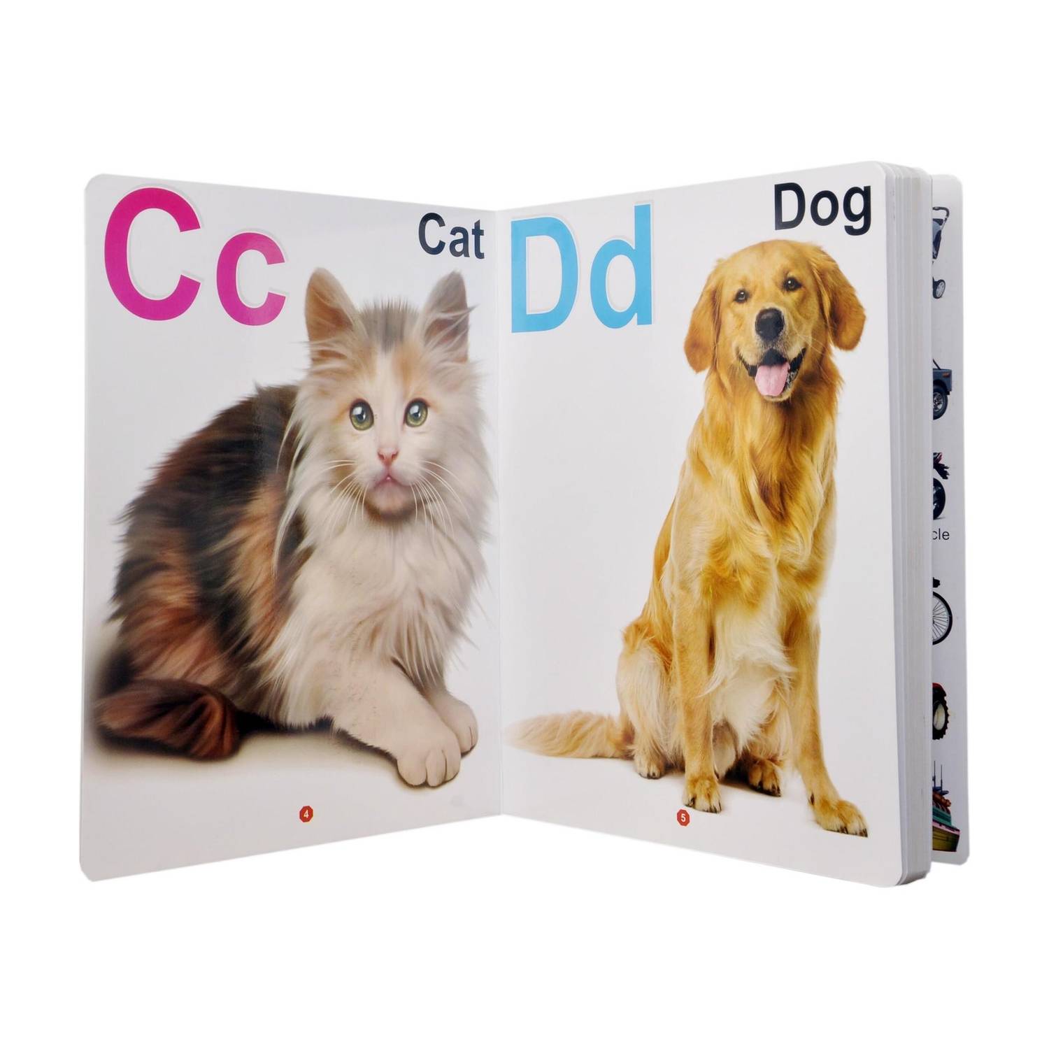 My First Board Book Of Alphabet Single Picture|Smart Books For Smart Kids|My Jumbo Board Books-ALPHABET | ABCD For Nursery And Preschool Children | Wipe-Clean Children's Friendly General Knowledge Board Book With Attractive Pictures Capturing Imaginations Of Children