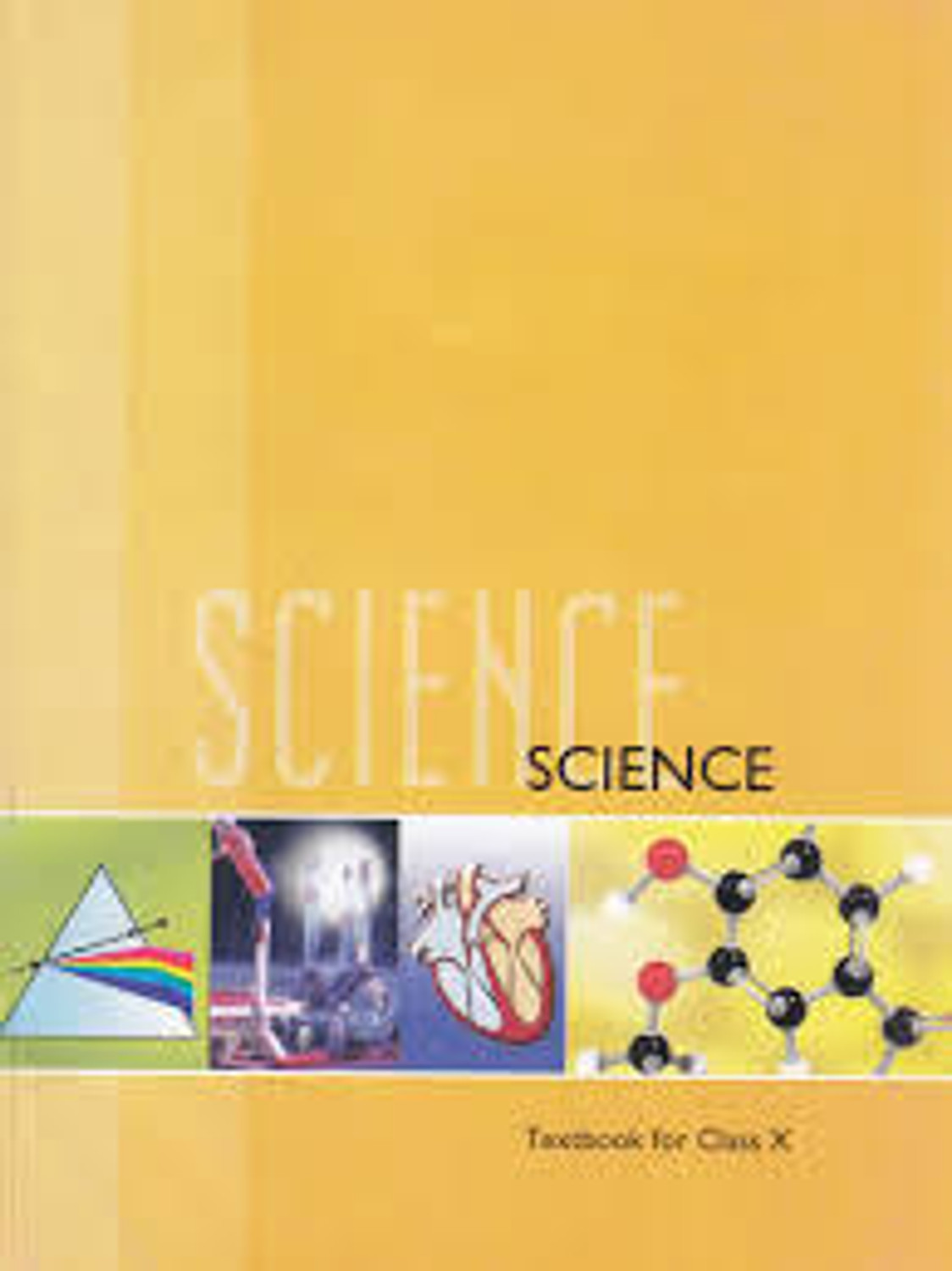 Image of NCERT Books Set For Class 10 English Medium Set Of 10 Books Paperback 2024 NCERT Hindi B Set TEXTBOOK, NCERT Hardcover, NCERT Hardcover, NCERT|New Edition For 2025-2026