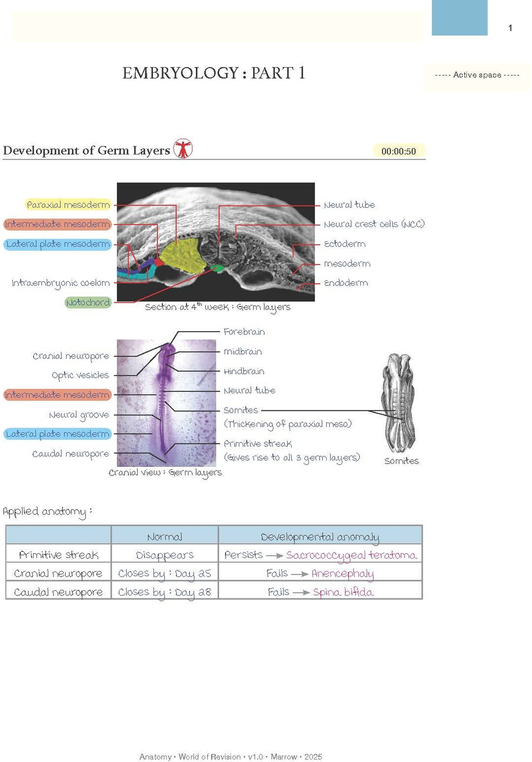 Image of Marrow World Of Revision Notes COMPLETE-SET 19 SUBJECTS.IN 6 Volumes .DIGITAL HD COLOURED NOTES WITH SPIRAL BINDING- /2026