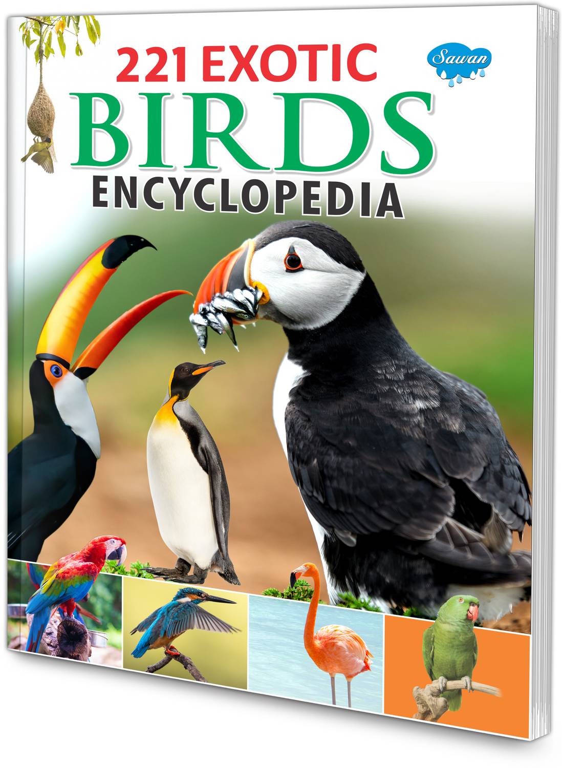 雑誌BIRD☆全8号セット 221 Exotic Birds Encyclopaedia Book For Kids : Educational Books