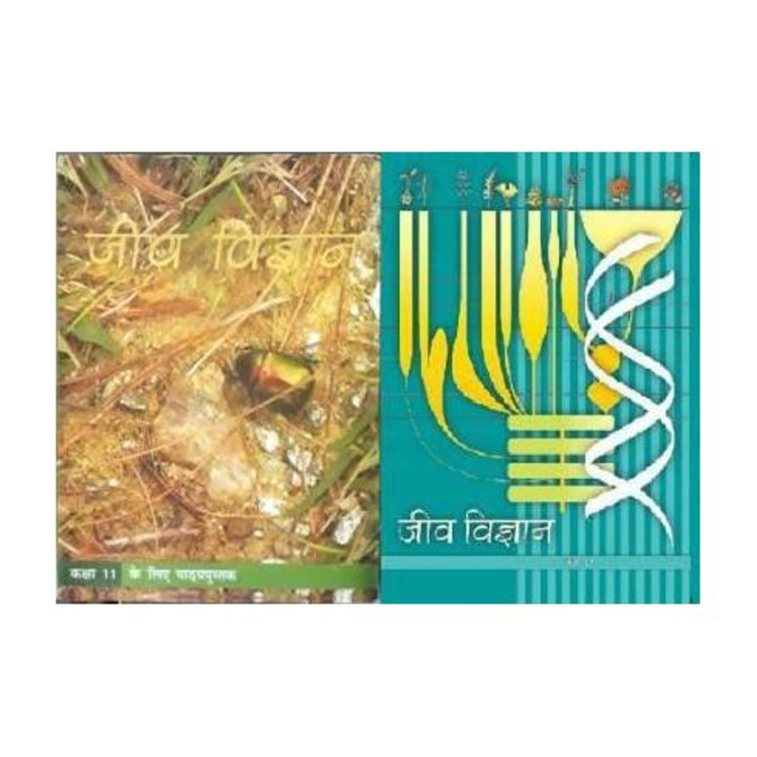Jeev Vigyan Textbook In Biology For Class 12 & 11 (Hindi, Paperback, NCERT)