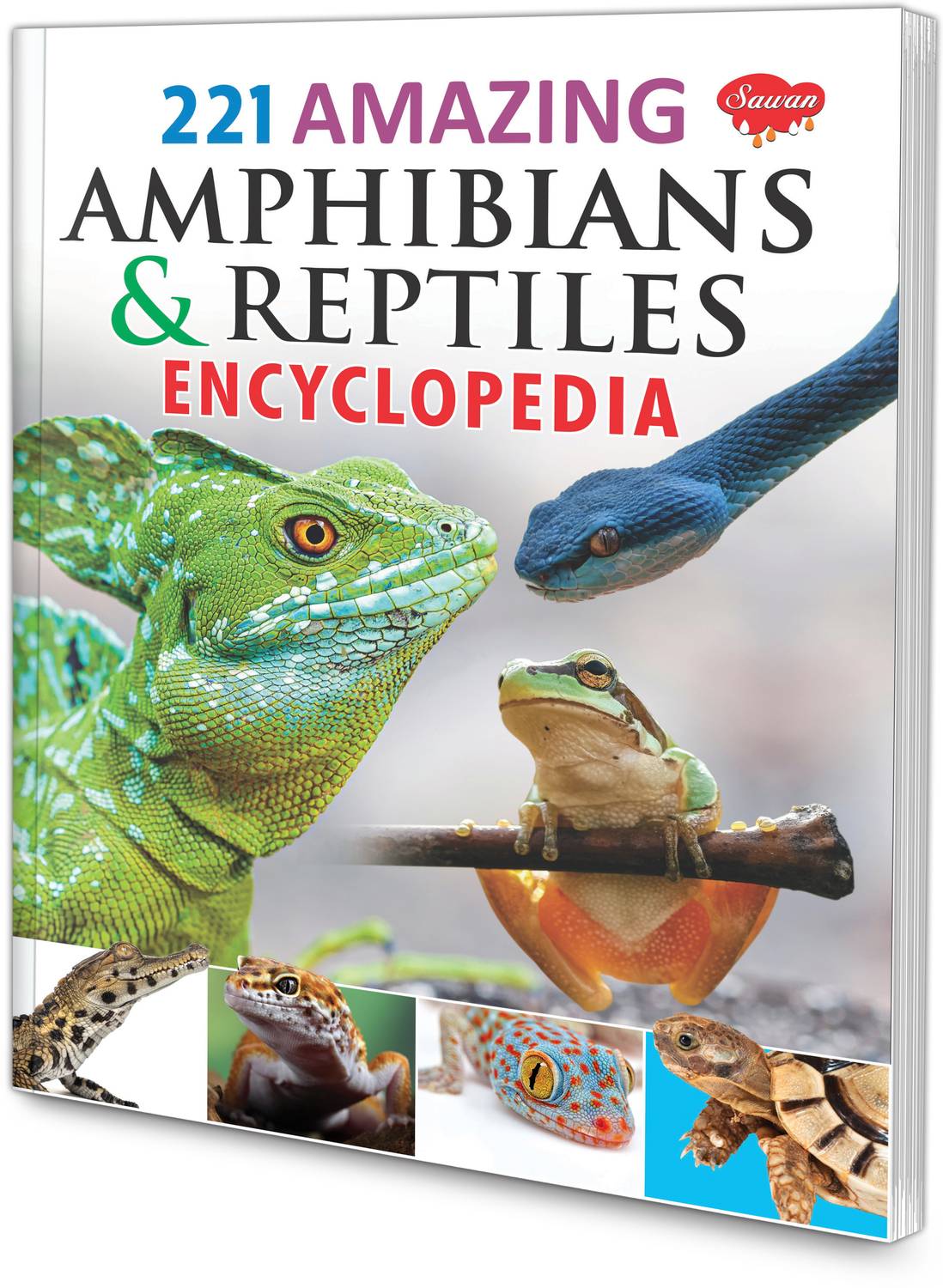 221 Amphibians and Reptiles Encyclopedia book for kids : Knowledge book for kids, Learning book for kids, Educational learning book.