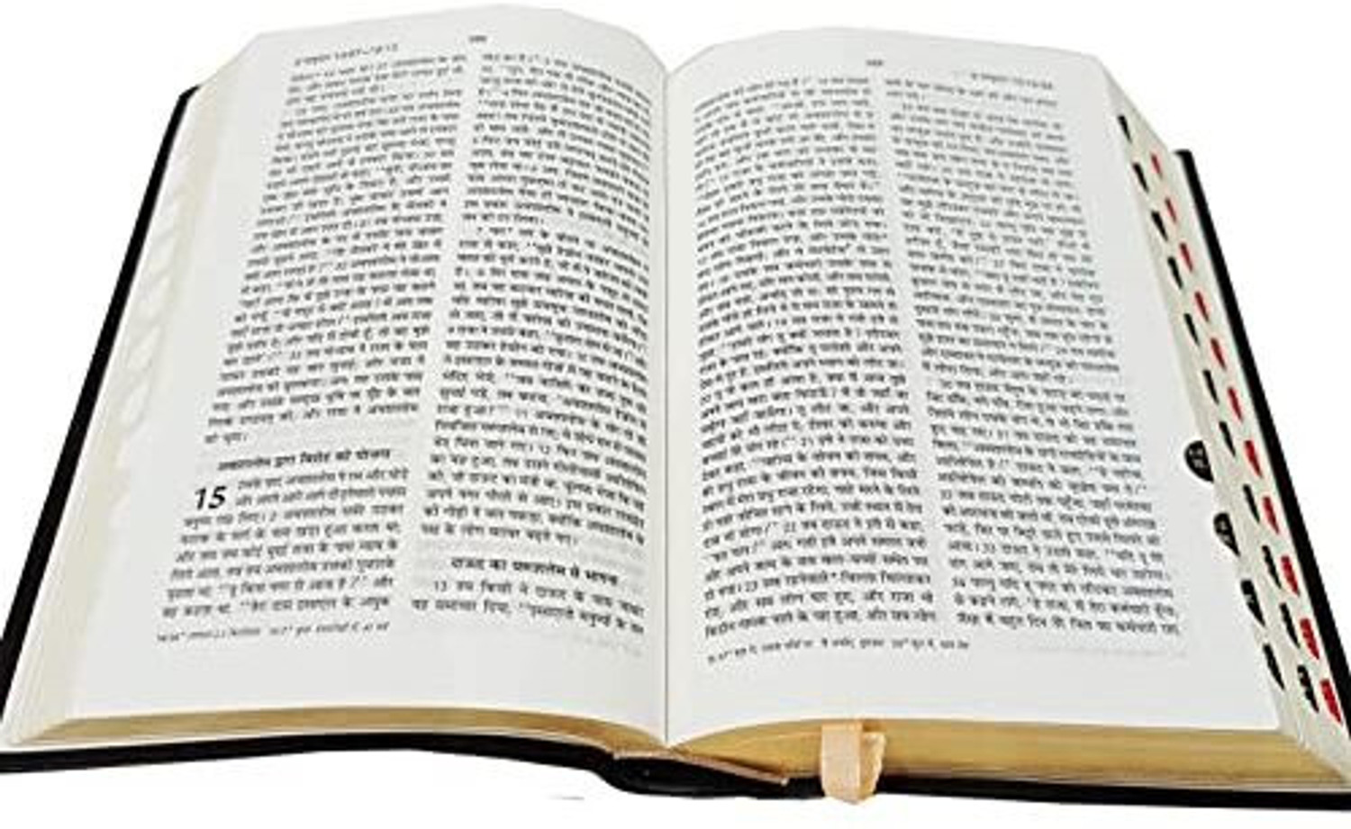 Image of Hindi Bible Compact Thumb Index Vinyl TI Gilt Yapp O.V. (2021) Contains Old And New Testament BSI