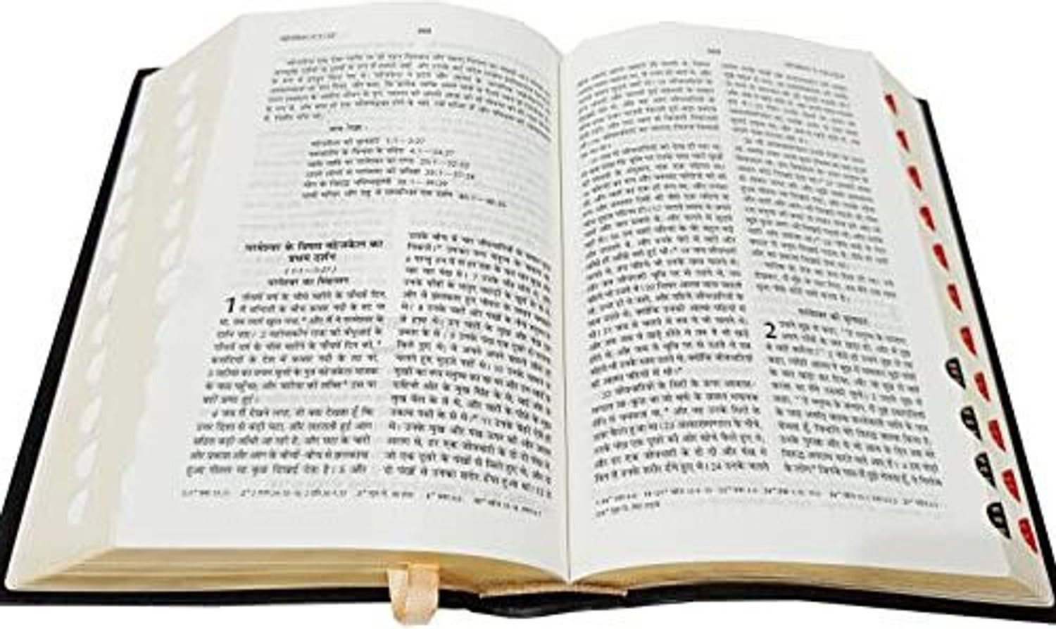 Image of Hindi Bible Compact Thumb Index Vinyl TI Gilt Yapp O.V. (2021) Contains Old And New Testament BSI