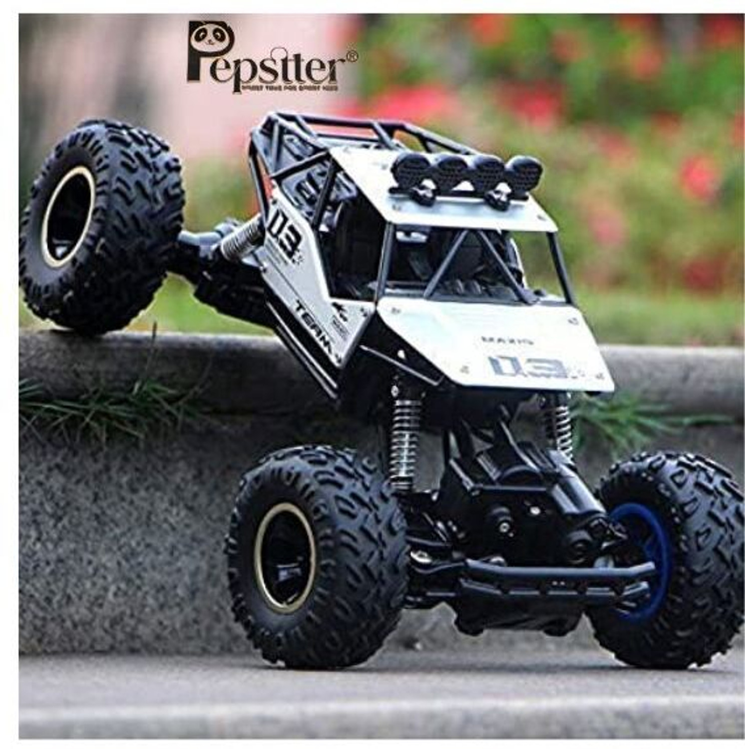 Image of Pepstter Remote Control Vehicle Buggy Rall 1:16 Toys (Multicolor)