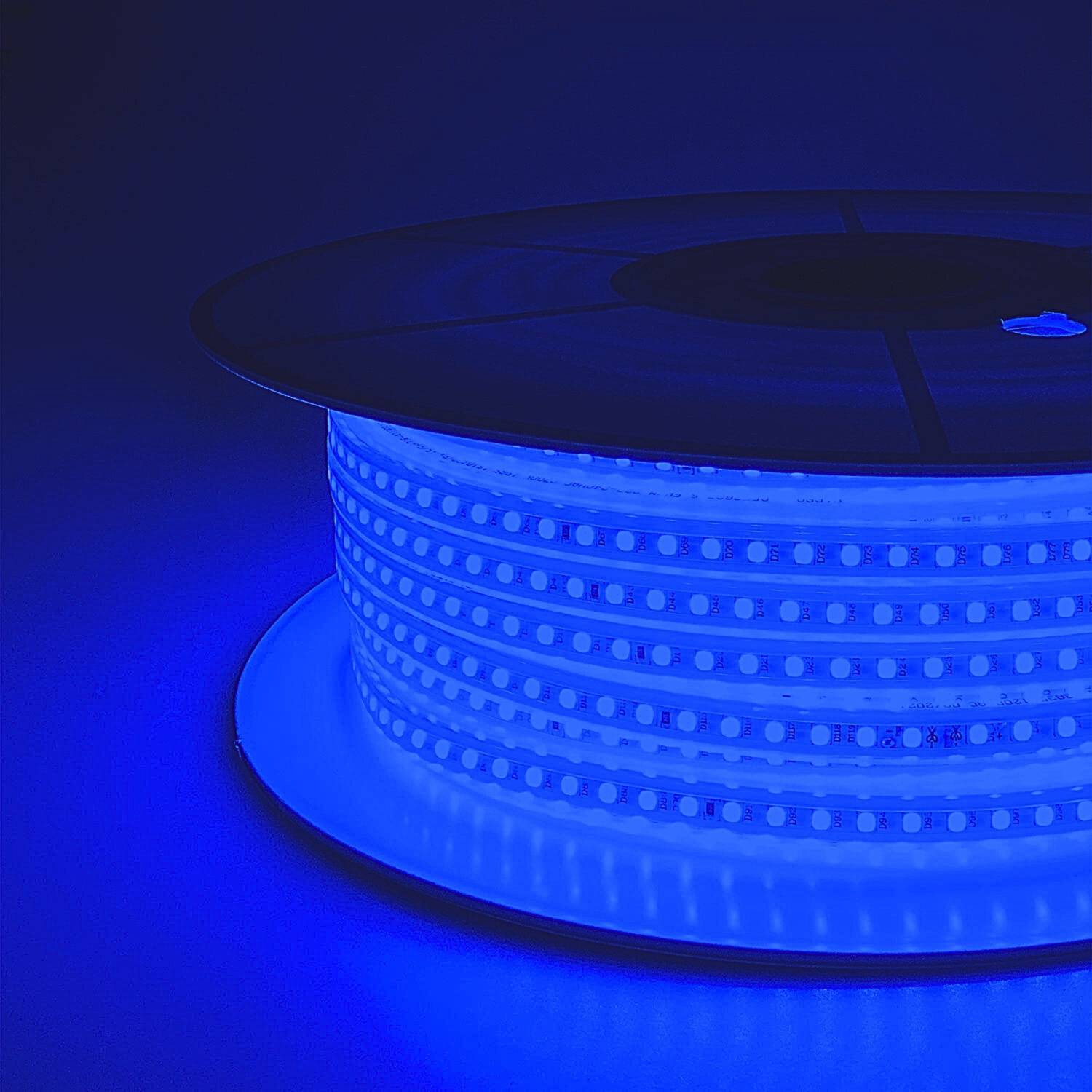 Volt Vision 1200 LEDs 10 m Blue Steady Strip Rice Lights (Pack of