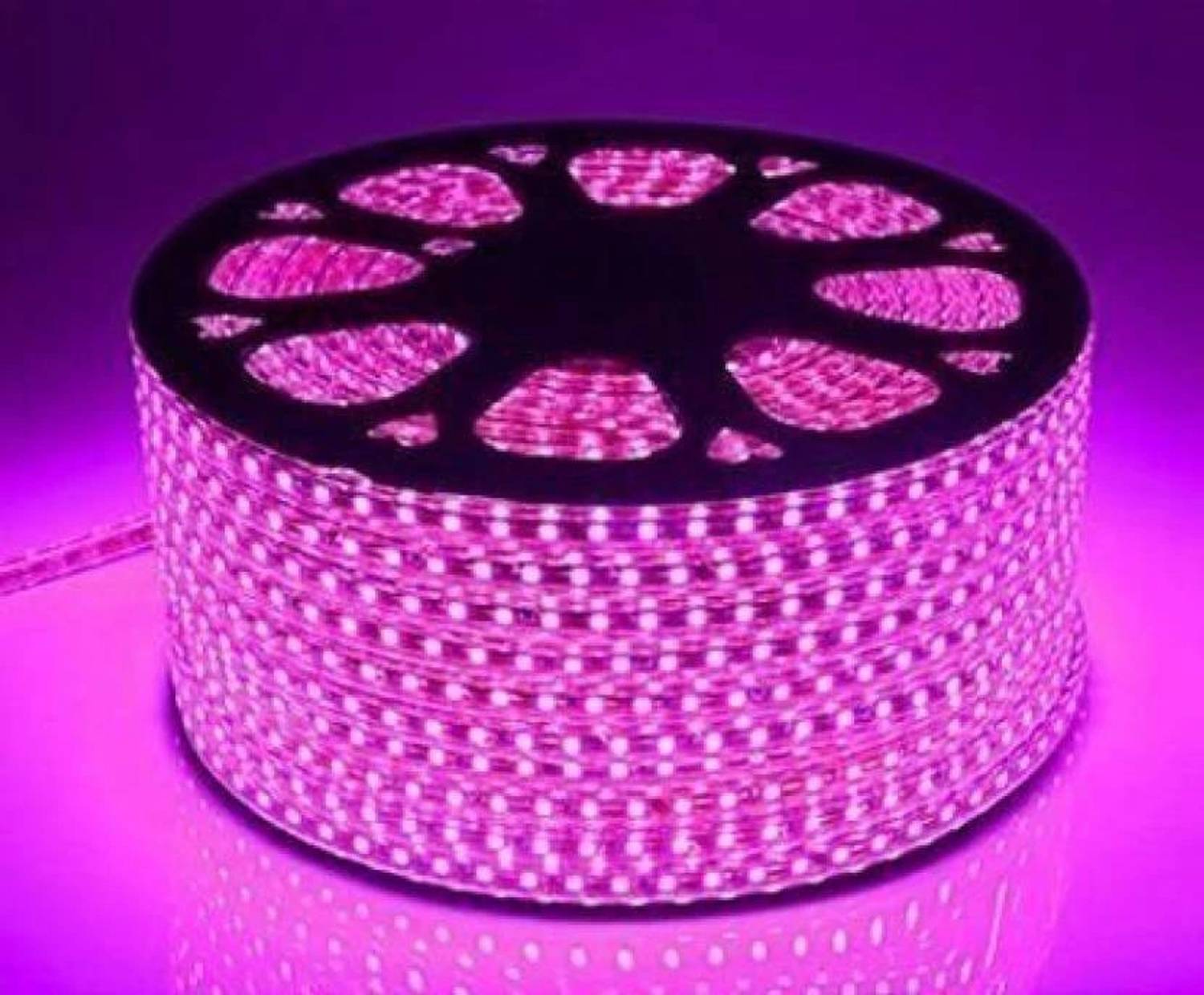 Eware 2400 LEDs 10.01 m Pink Steady Strip Rice Lights (Pack of 1)