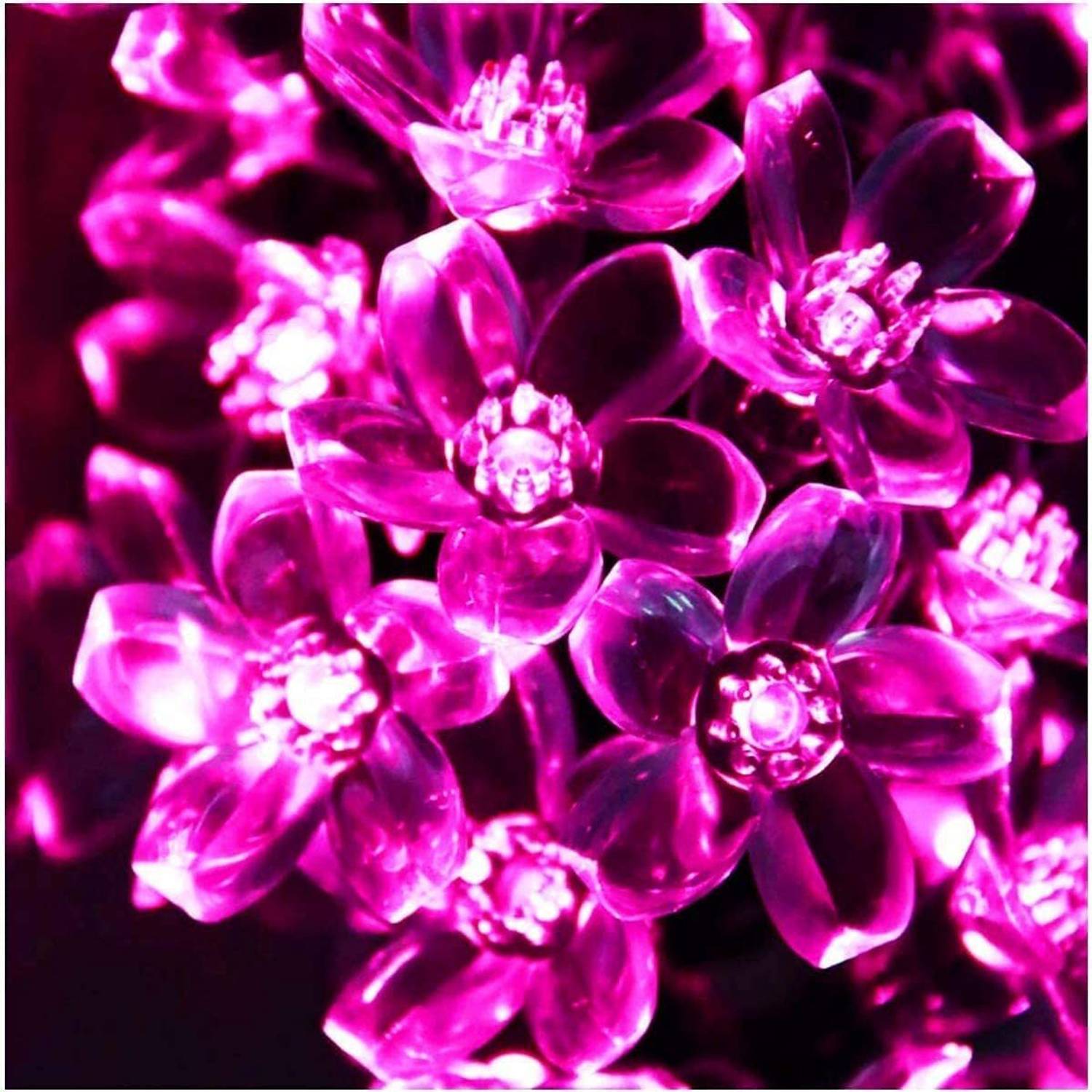 QUACE 16 LEDs 3 m Pink Steady Flower Rice Lights (Pack of 1)