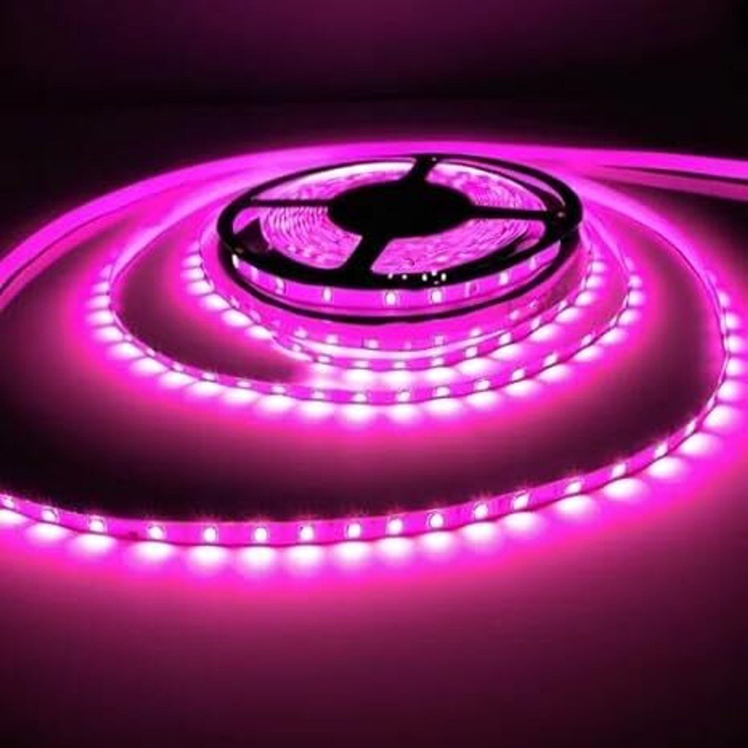 Image of goblet 240 LEDs 5 m Pink Steady Strip Rice Lights