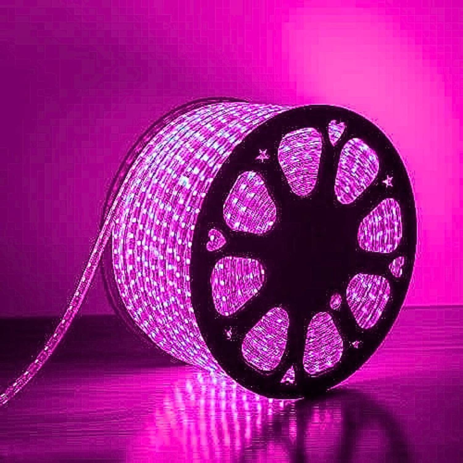 Eware 2400 LEDs 10.01 m Pink Steady Strip Rice Lights (Pack of 1)