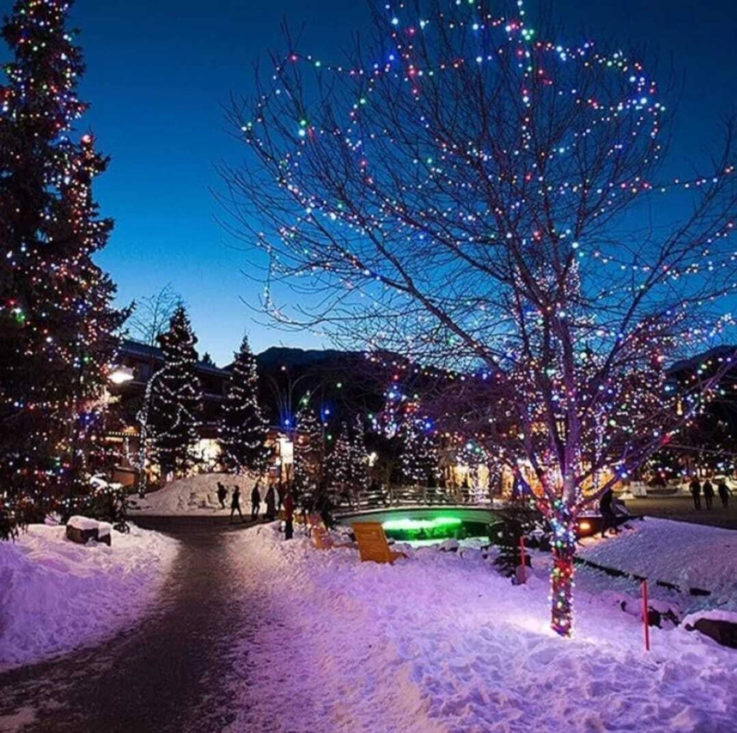 CANDLE 40 LEDs 11 m Multicolor Steady String Rice Lights