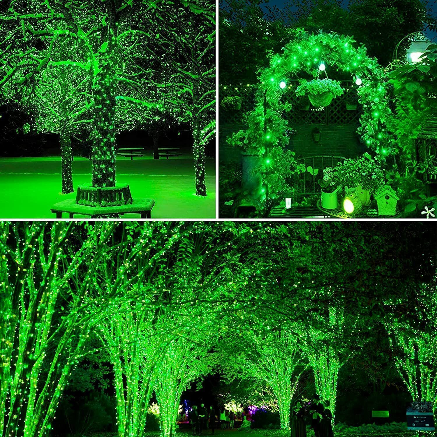Image of xenith 42 LEDs 12 m Green Steady String Rice Lights