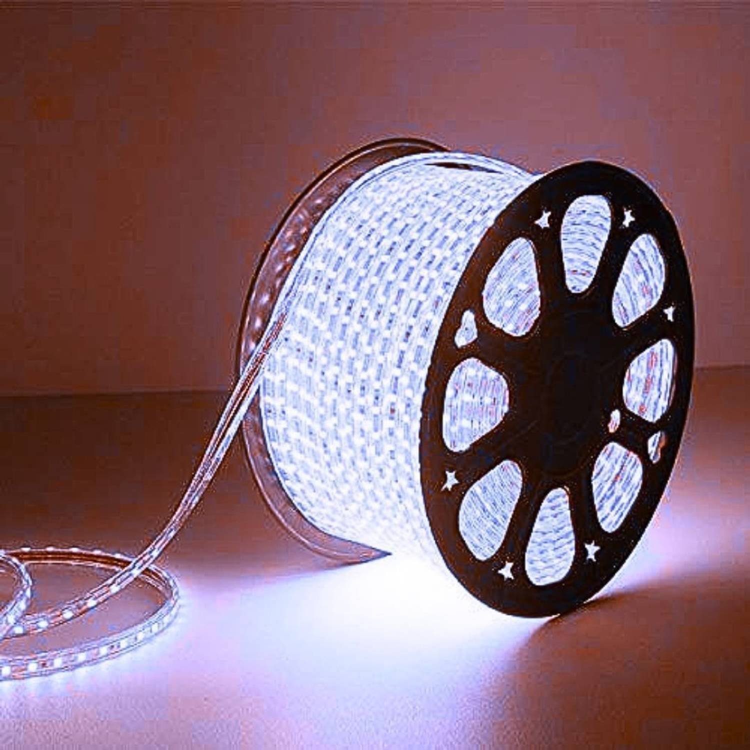 Eware 2400 LEDs 10.01 m White Steady Strip Rice Lights (Pack of 1