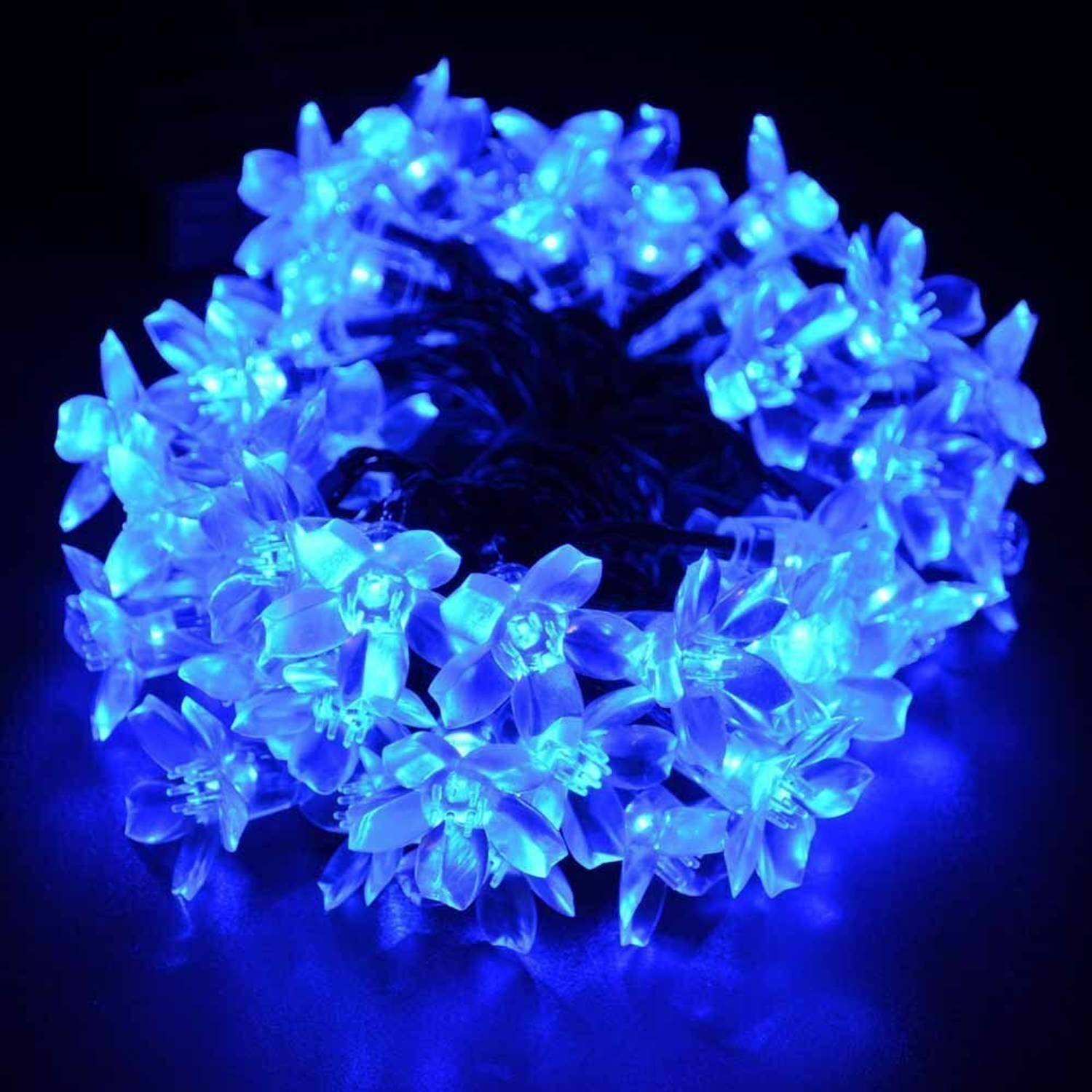 QUACE 16 LEDs 3 m Blue Steady Flower Rice Lights (Pack of 1)