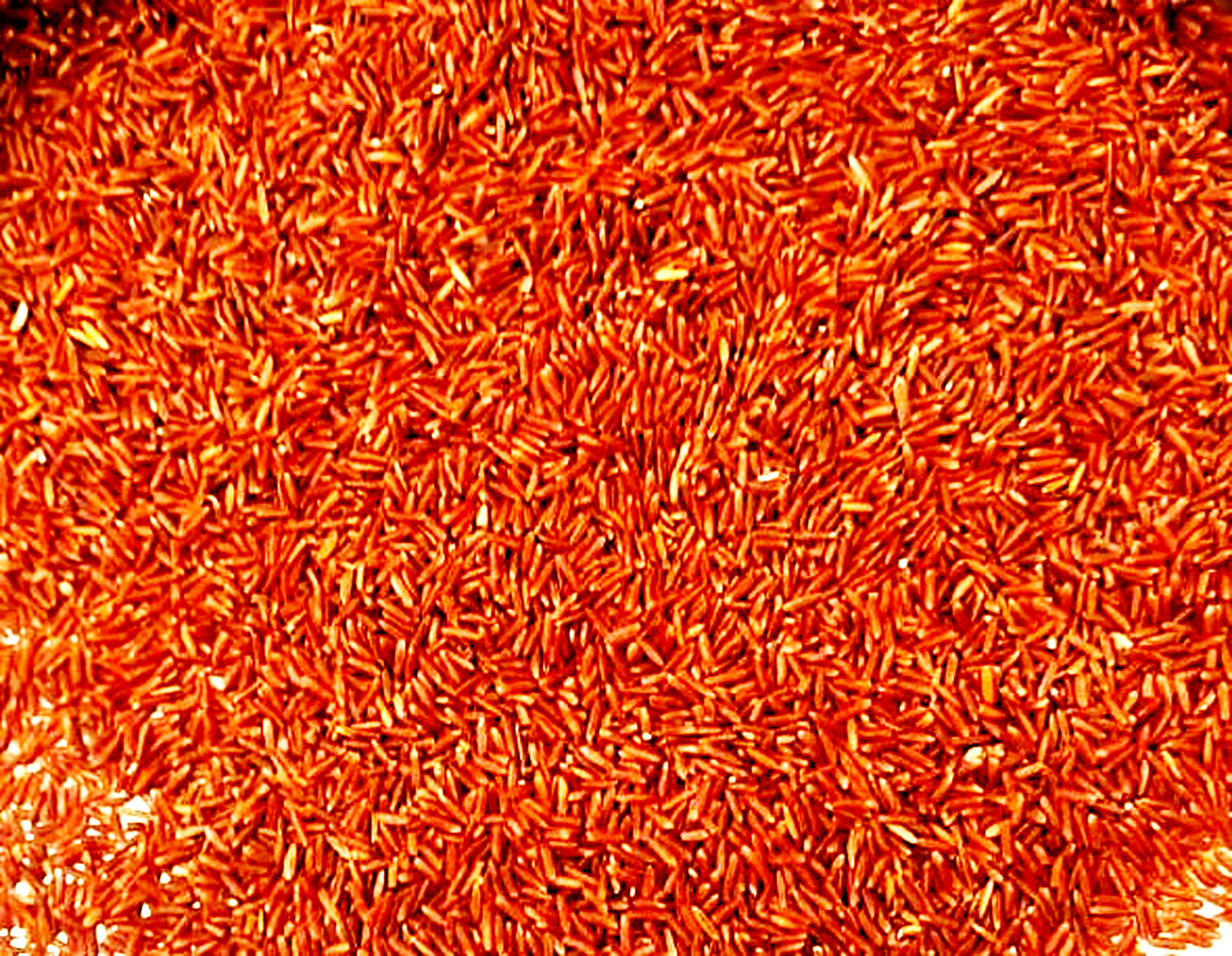 Image of magstik private limited Tinni Pasari Red Wild Rice (Medium Grain, Raw)