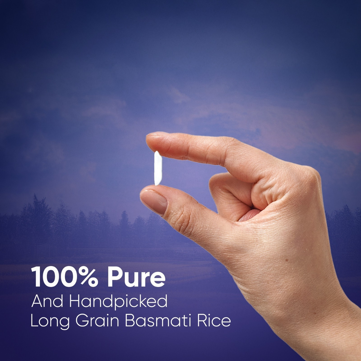 Image of GALAXY Extra Long Grain Basmati Rice - 1 Kg Basmati Rice (Long Grain, Polished)