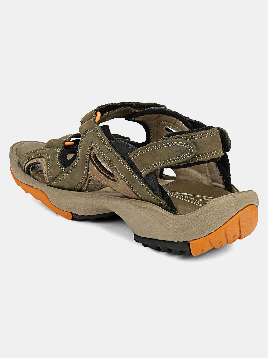 Image of WOODLAND Men Sports Sandals