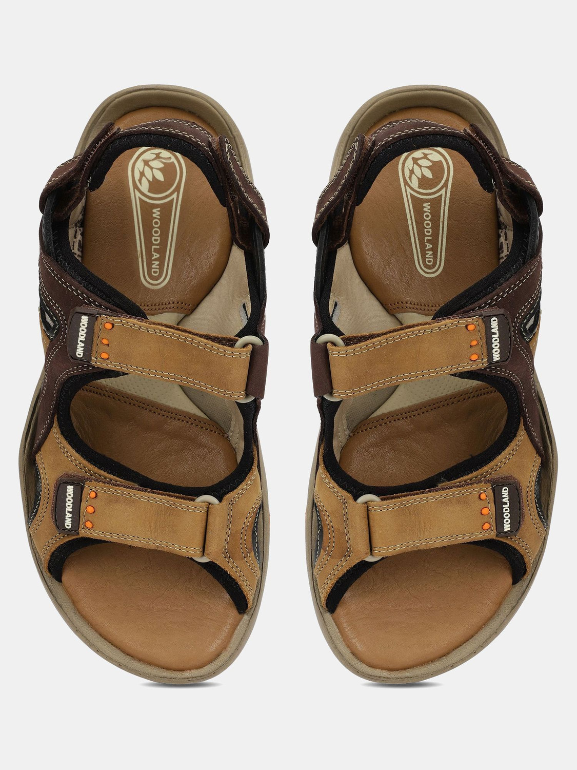 Image of WOODLAND Men Sports Sandals
