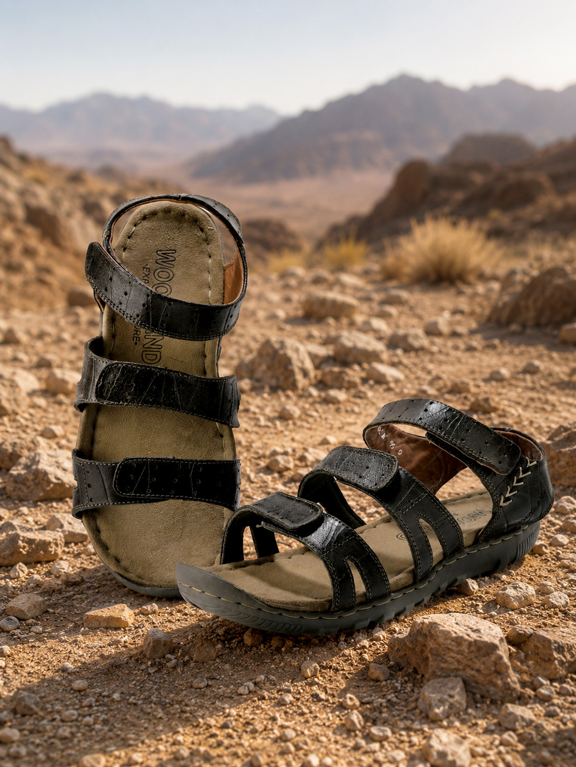 Image of WOODLAND Men Sandals