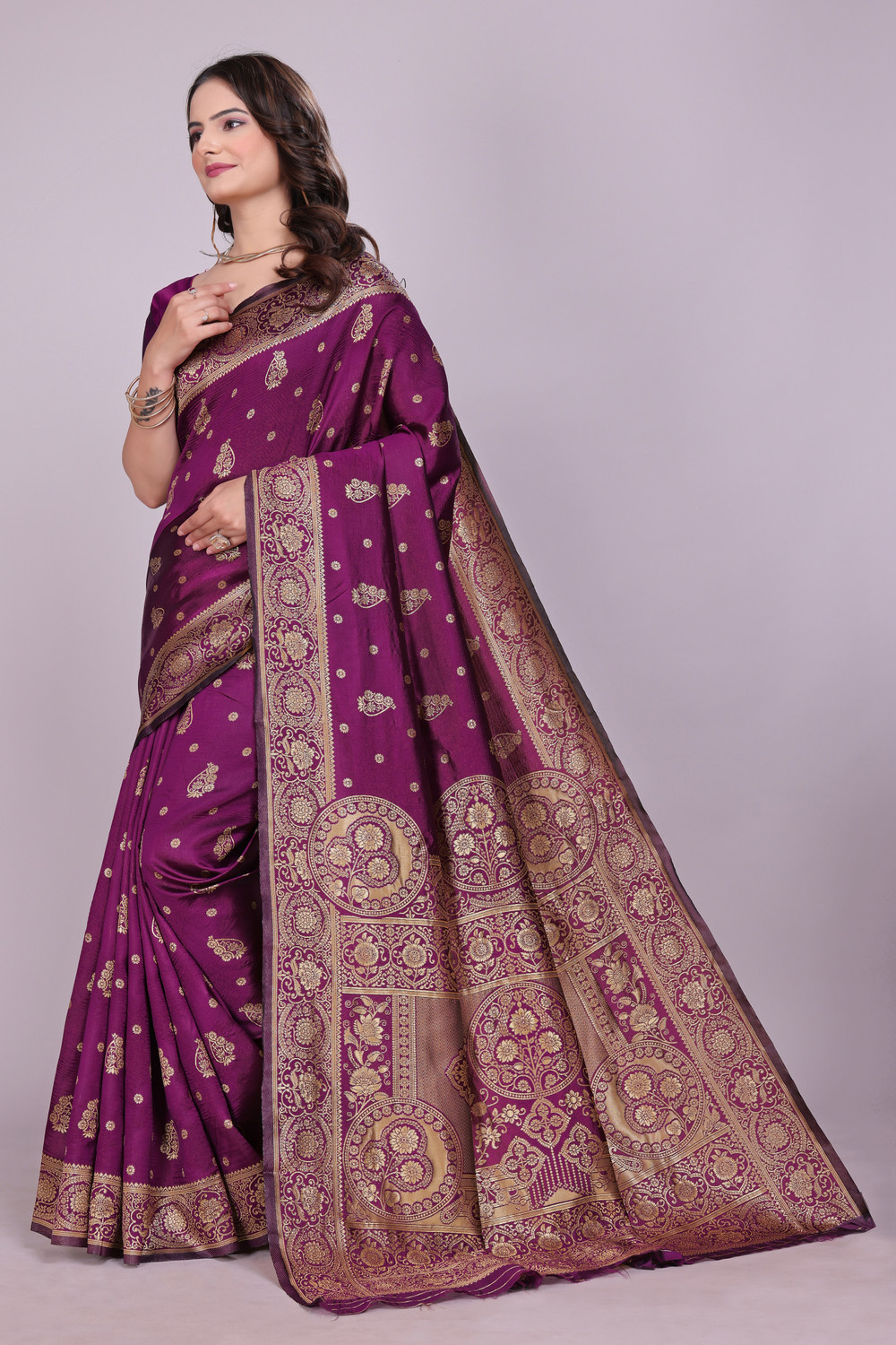 Image of DHRUVIL TEXTILES Self Design Banarasi Cotton Silk, Jacquard Saree