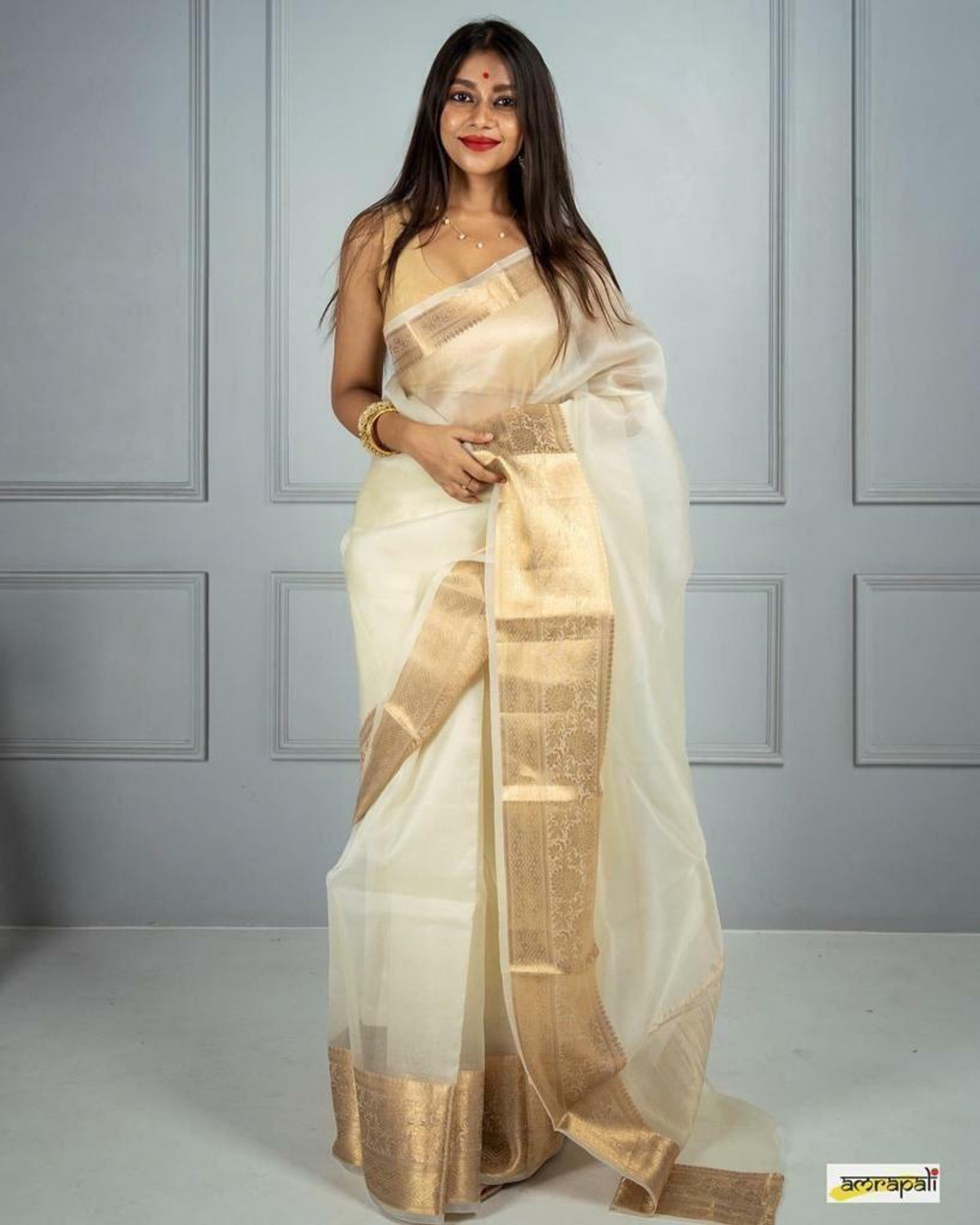 Image of Priya Woven Daily Wear Organza Saree