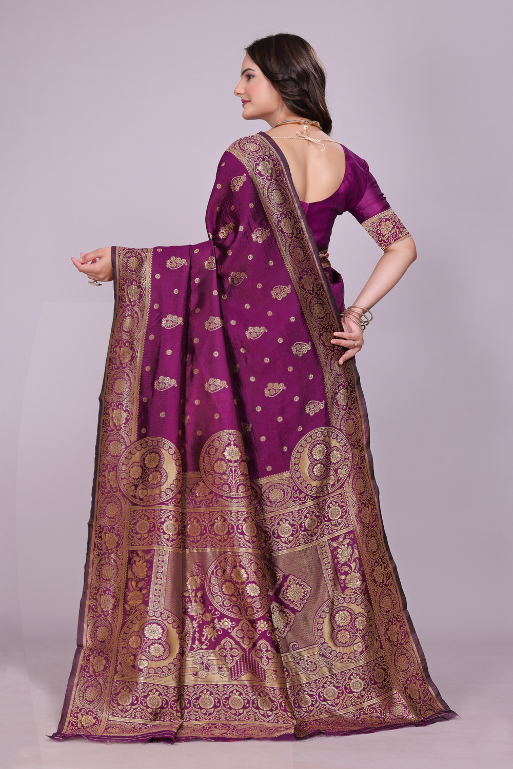 Image of DHRUVIL TEXTILES Self Design Banarasi Cotton Silk, Jacquard Saree