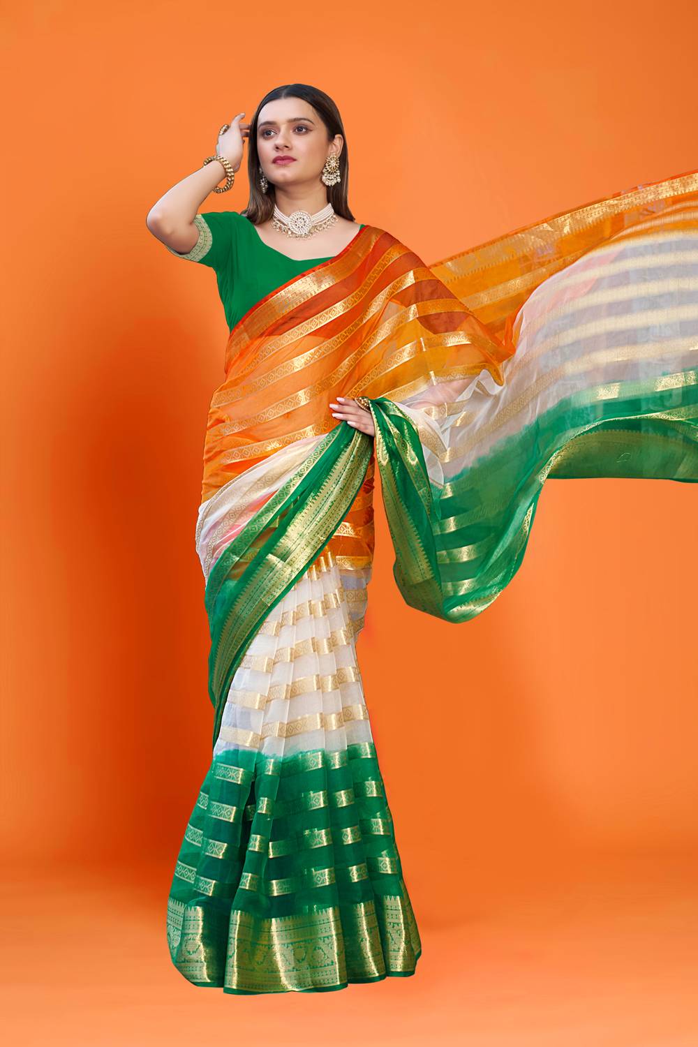 Aarunika BS Tie-Dye Bollywood Organza Saree
