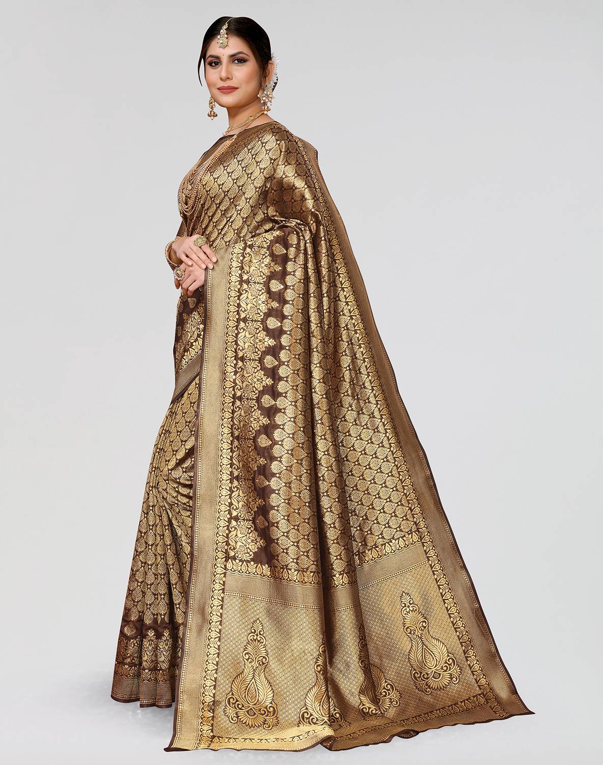 ANIRAV Self Design Banarasi Cotton Silk Saree